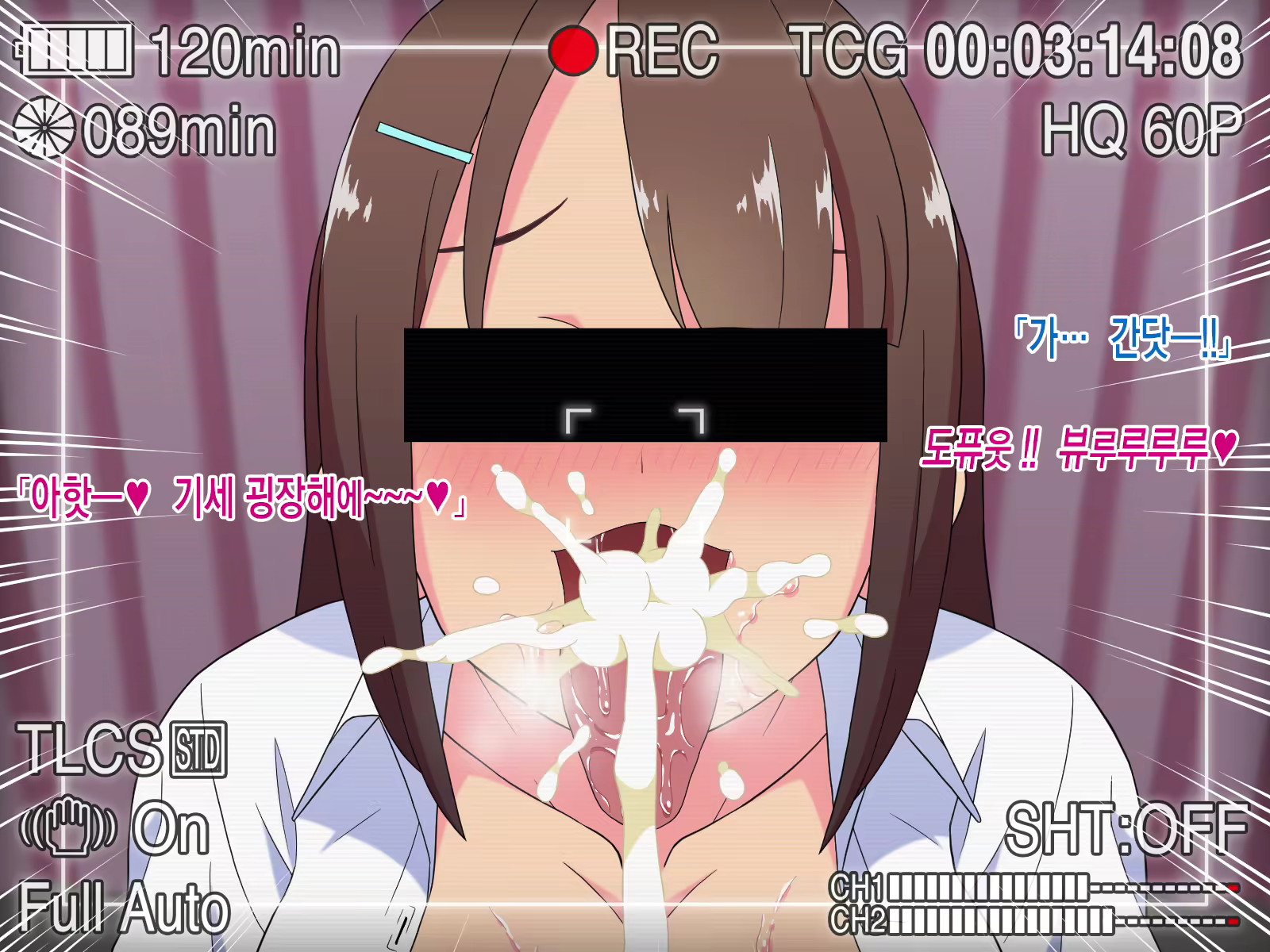 Content 2498861 - 17 페이지