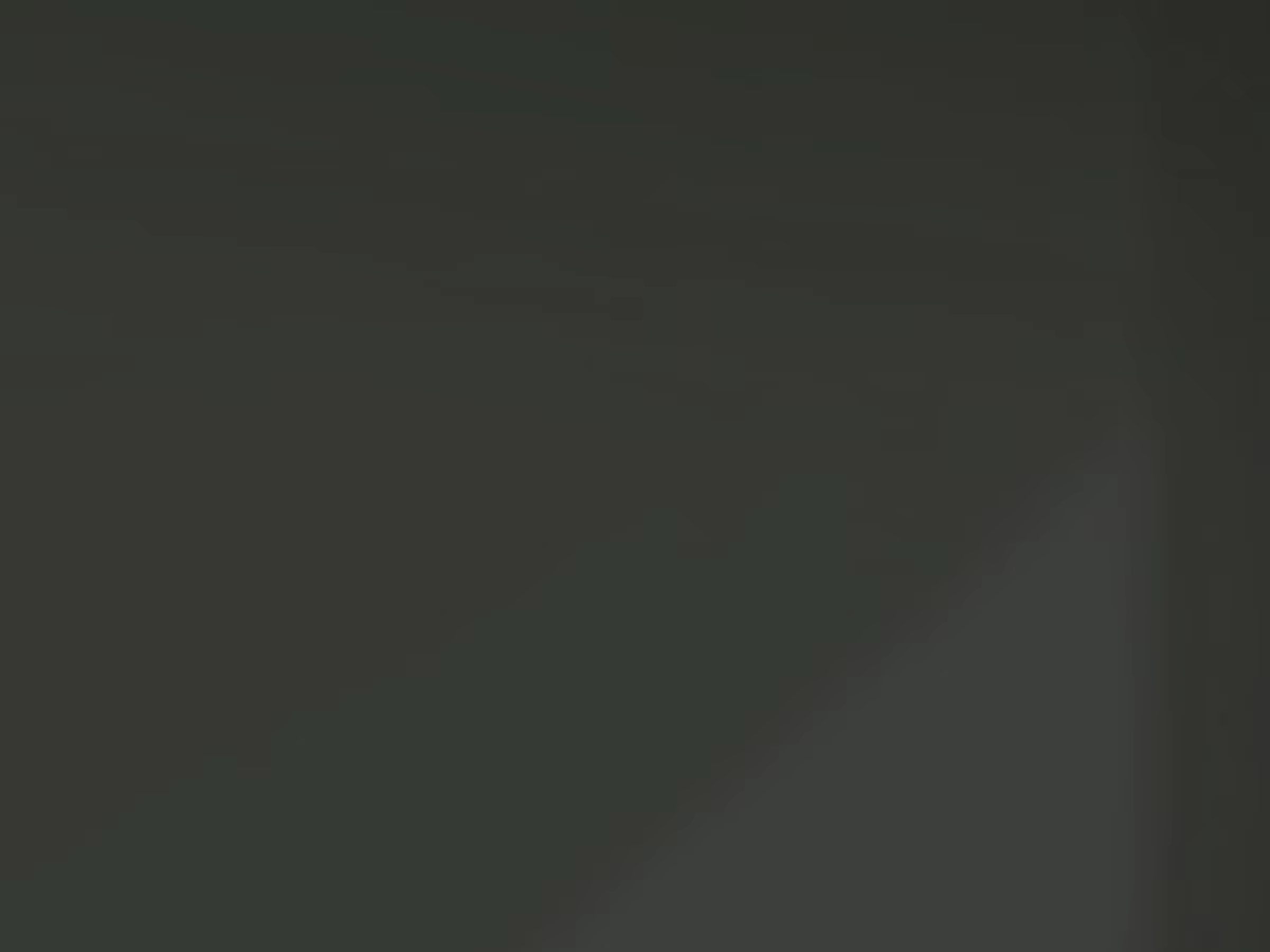 Content 2507524 - 173 페이지