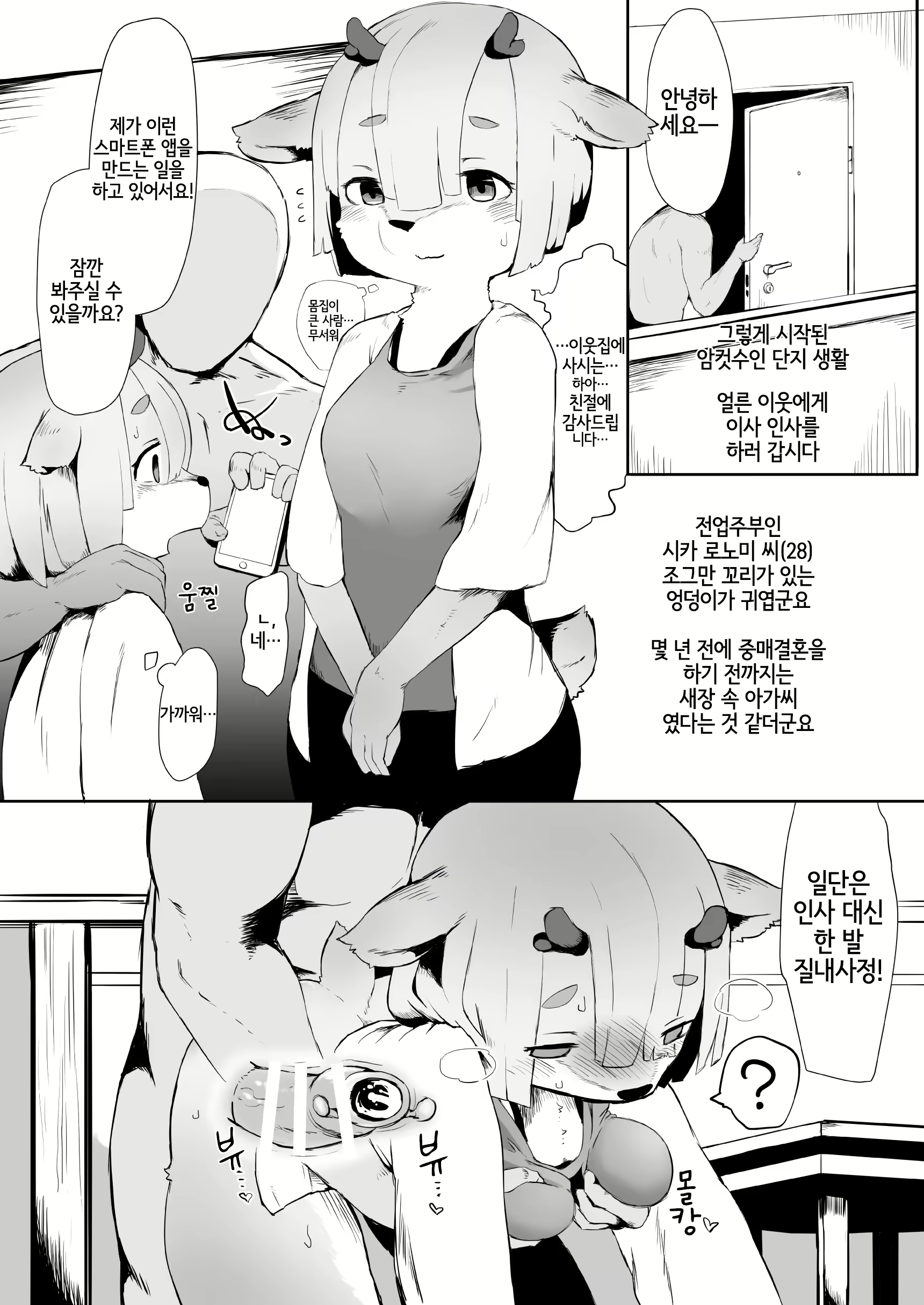 Content 2518696 - 11 페이지