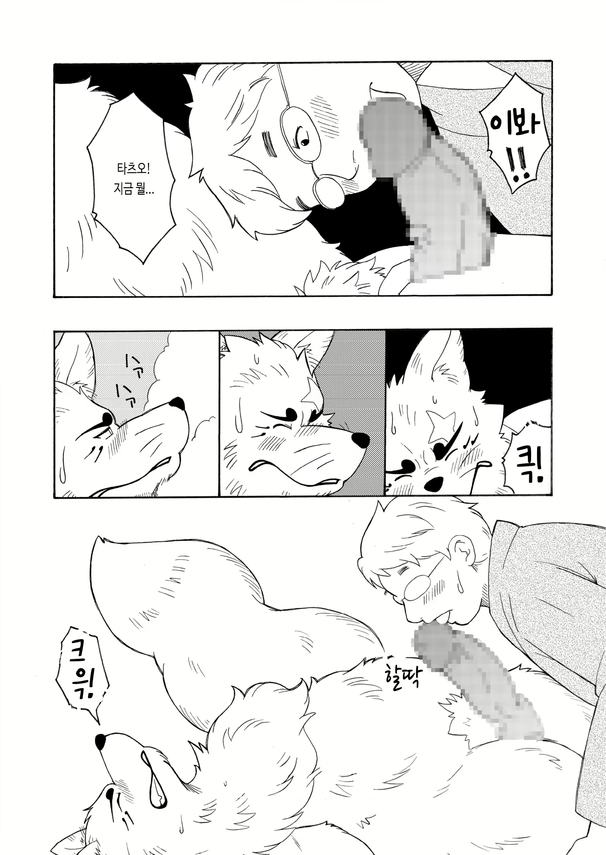 Content 2524329 - 11 페이지