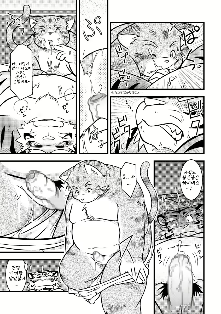 Content 2524338 - 11 페이지