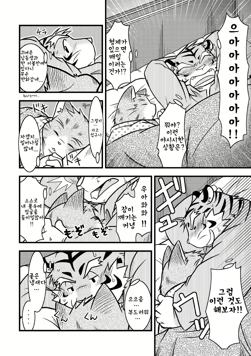 Content 2524338 - 6 페이지