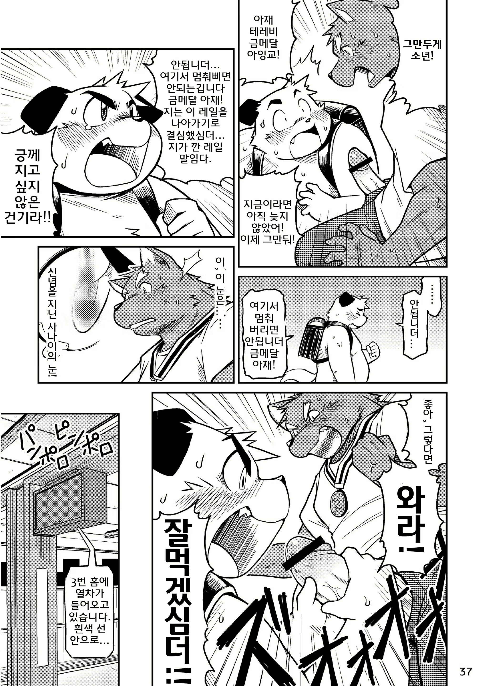 Content 2525156 - 7 페이지