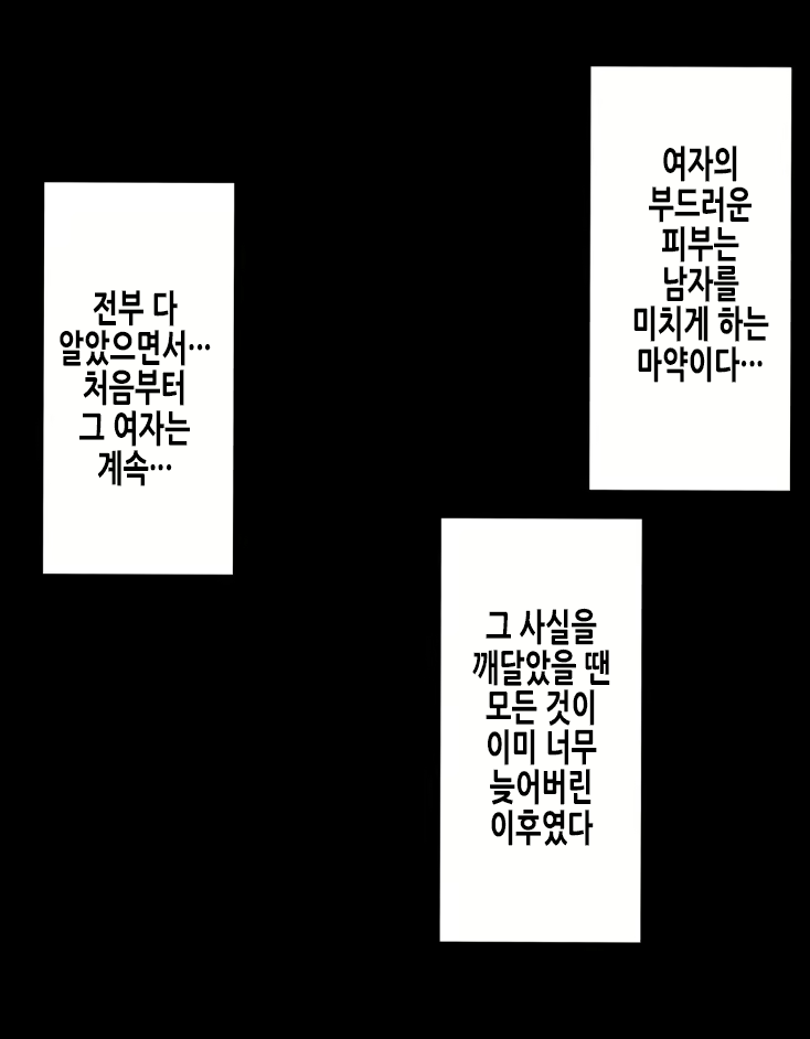 Content 2528187 - 24 페이지