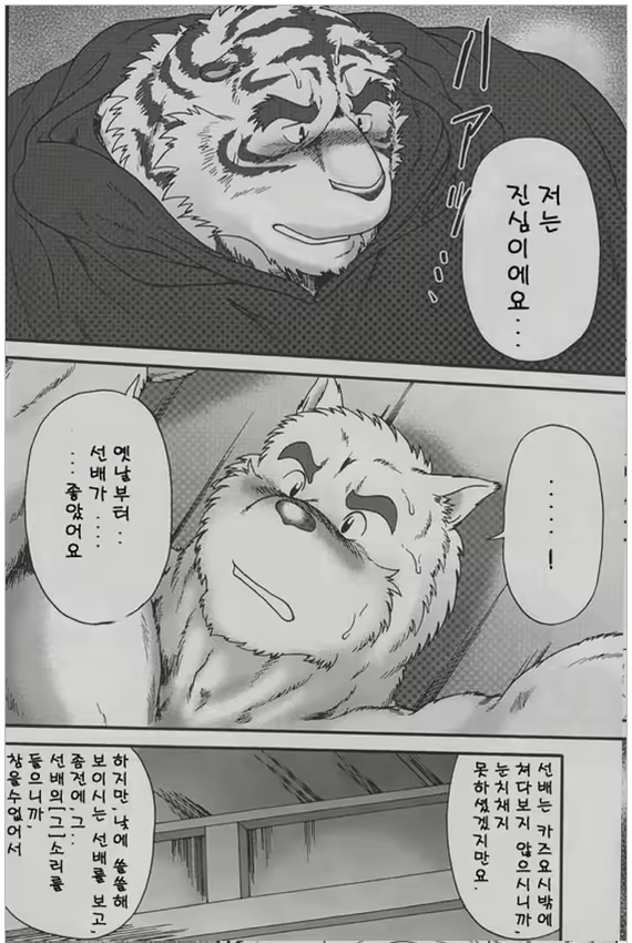 Content 2529293 - 16 페이지
