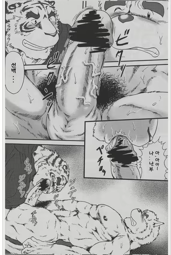 Content 2529293 - 20 페이지
