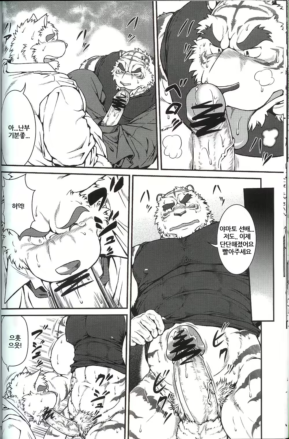 Content 2529294 - 15 페이지