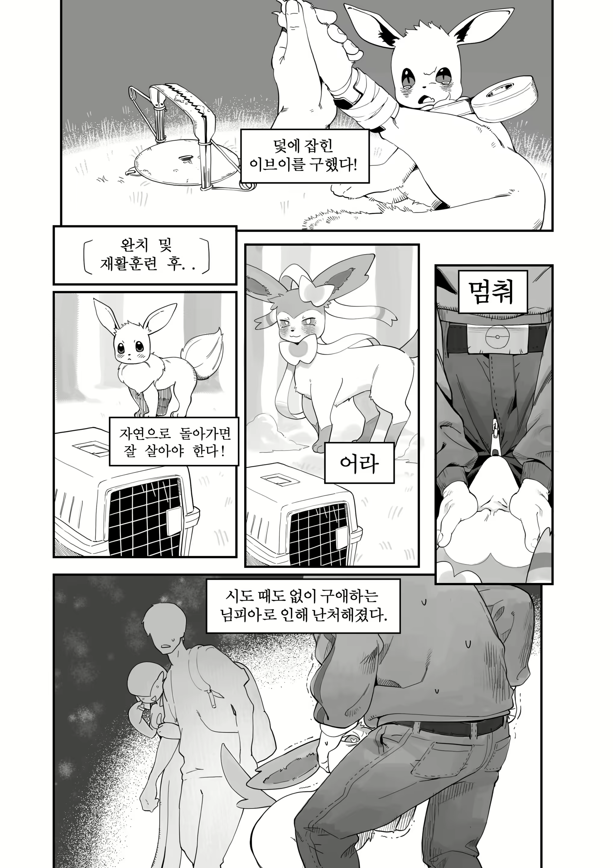 Content 2530989 - 2 페이지