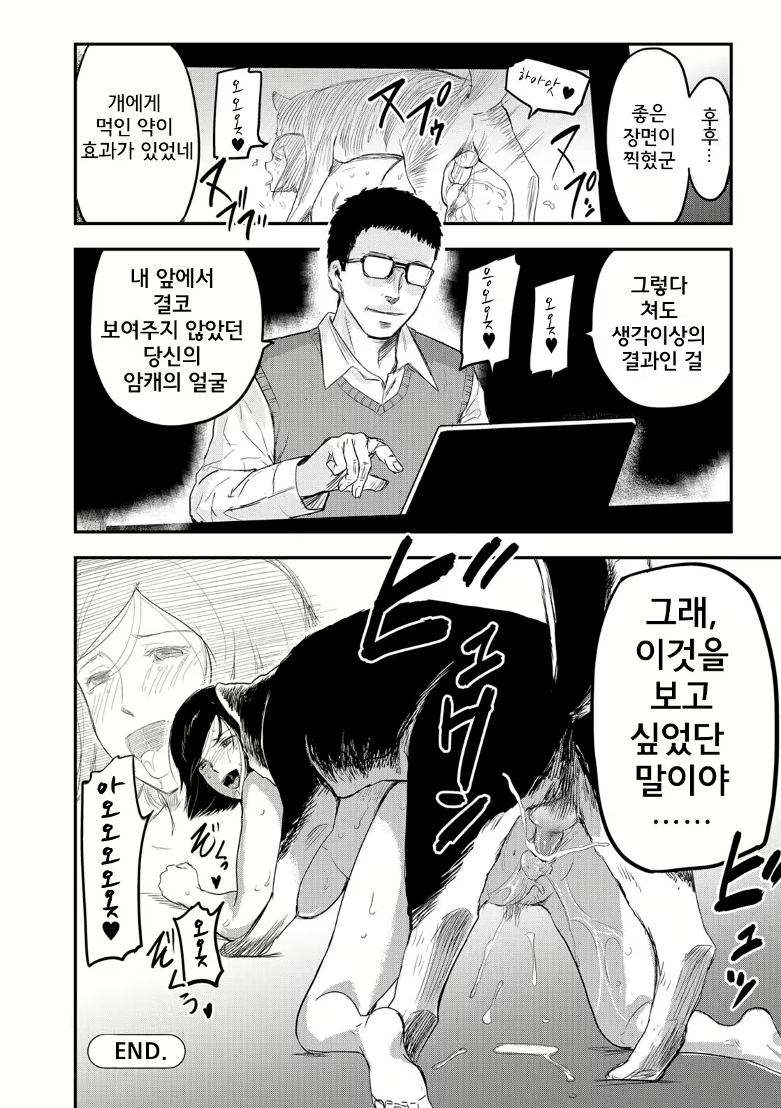 Content 2532548 - 20 페이지