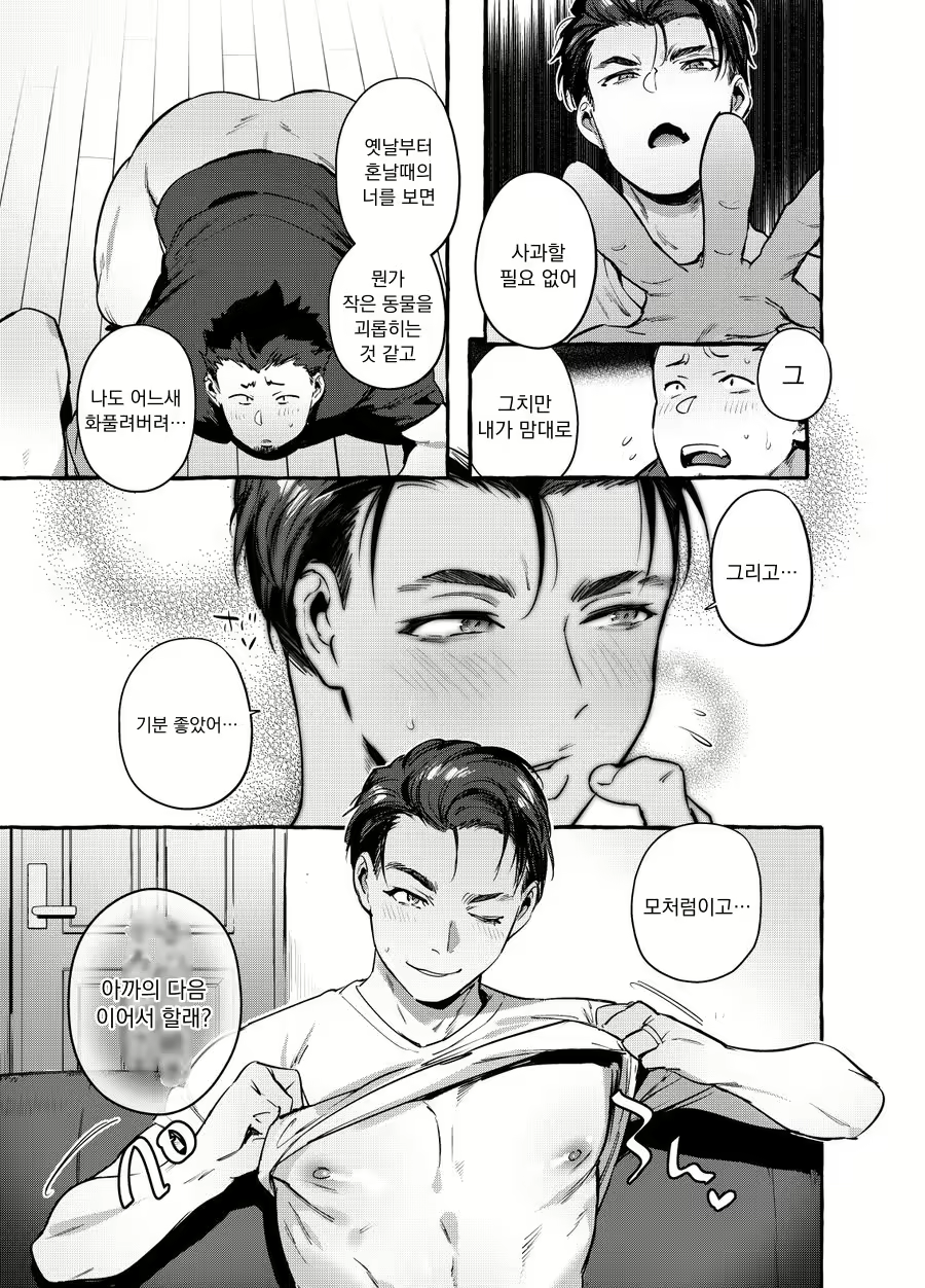 Content 2535161 - 19 페이지