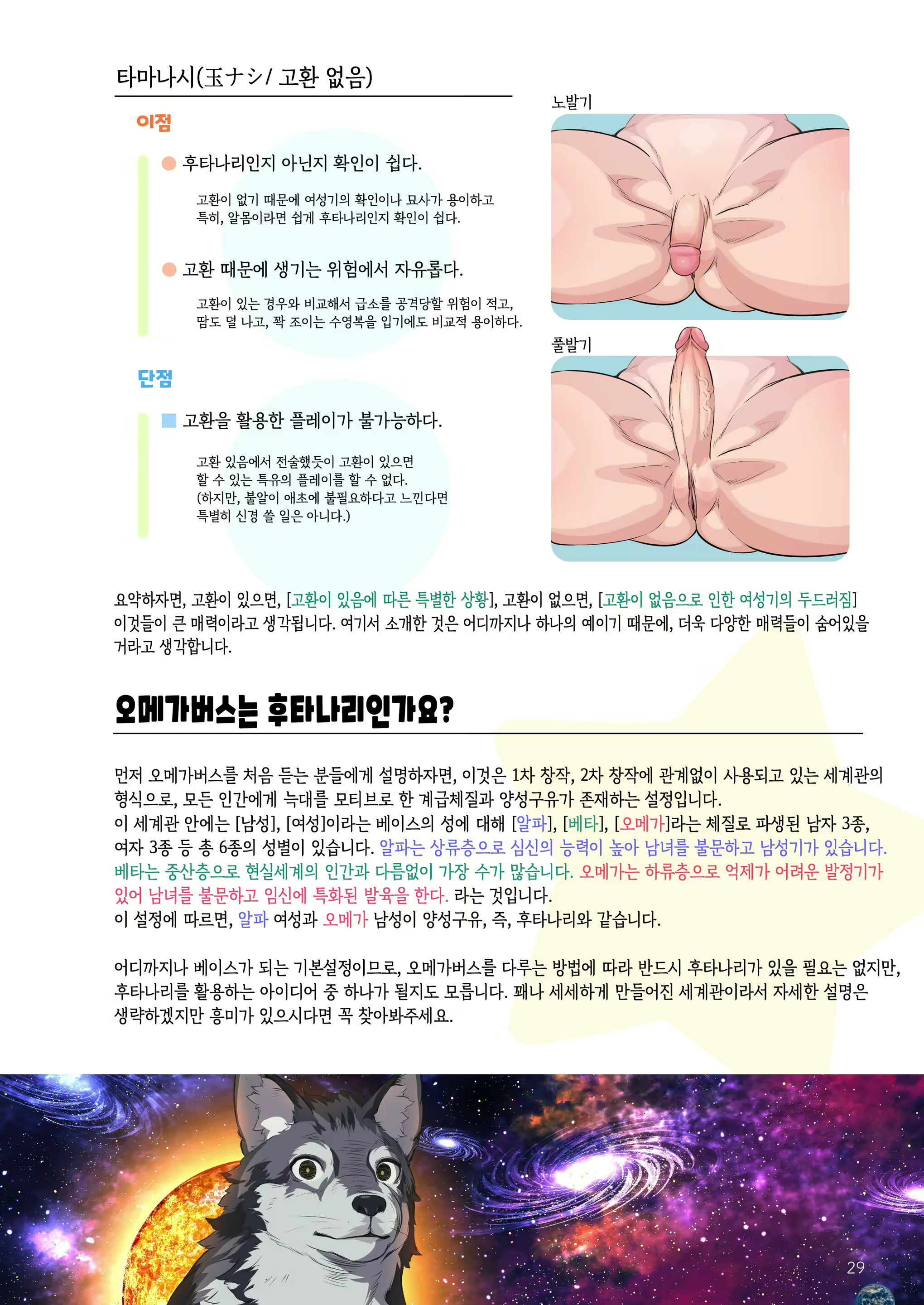Content 2553310 - 29 페이지