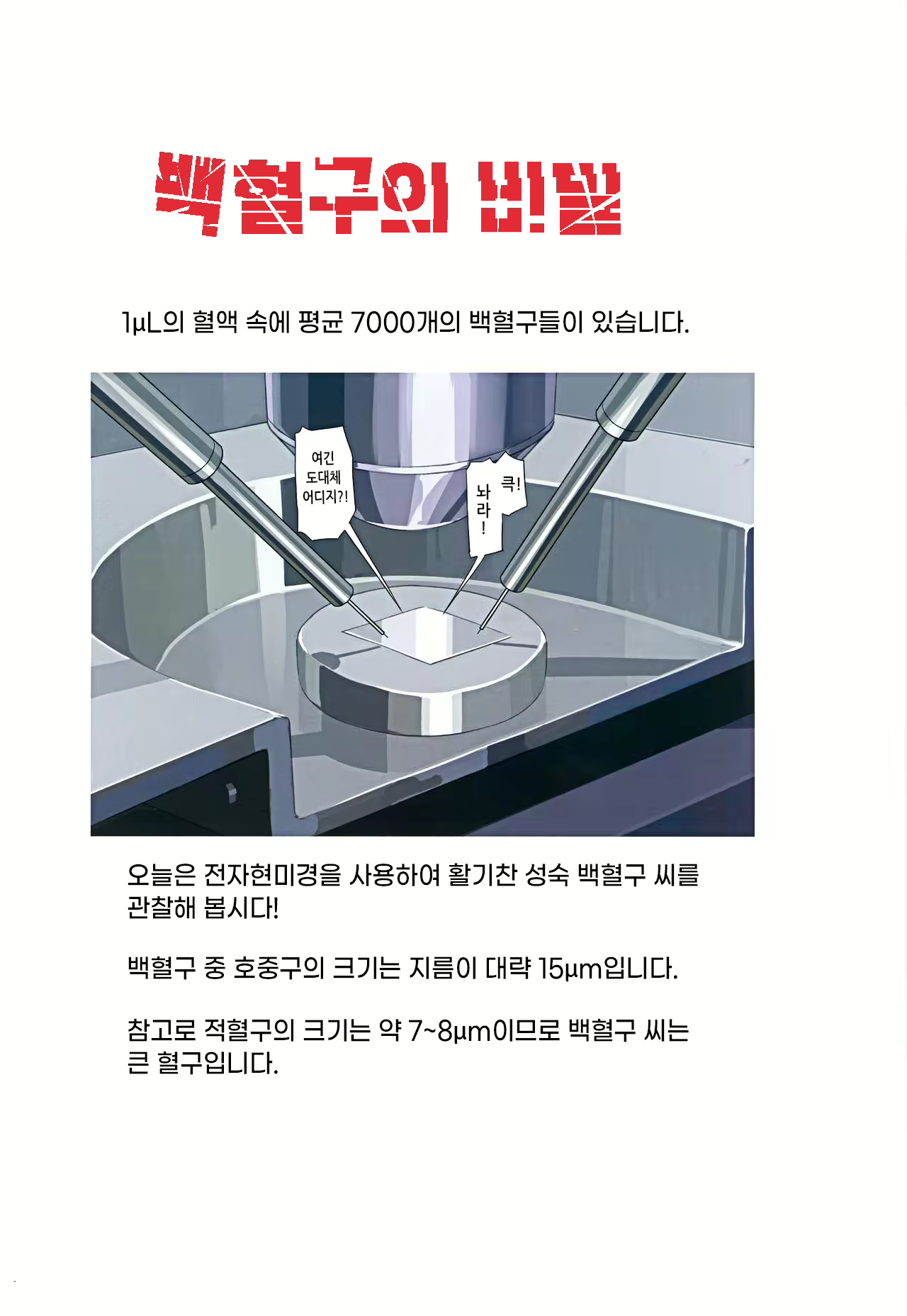 Content 2561703 - 4 페이지