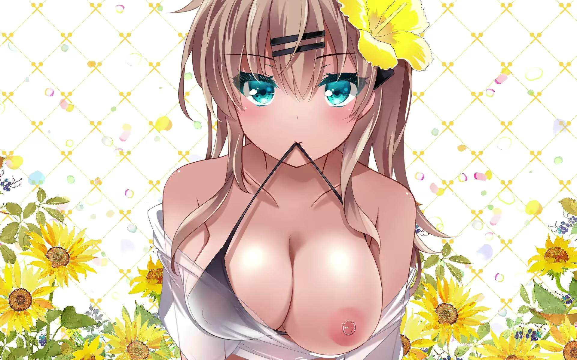 Content 2565616 - 37 페이지