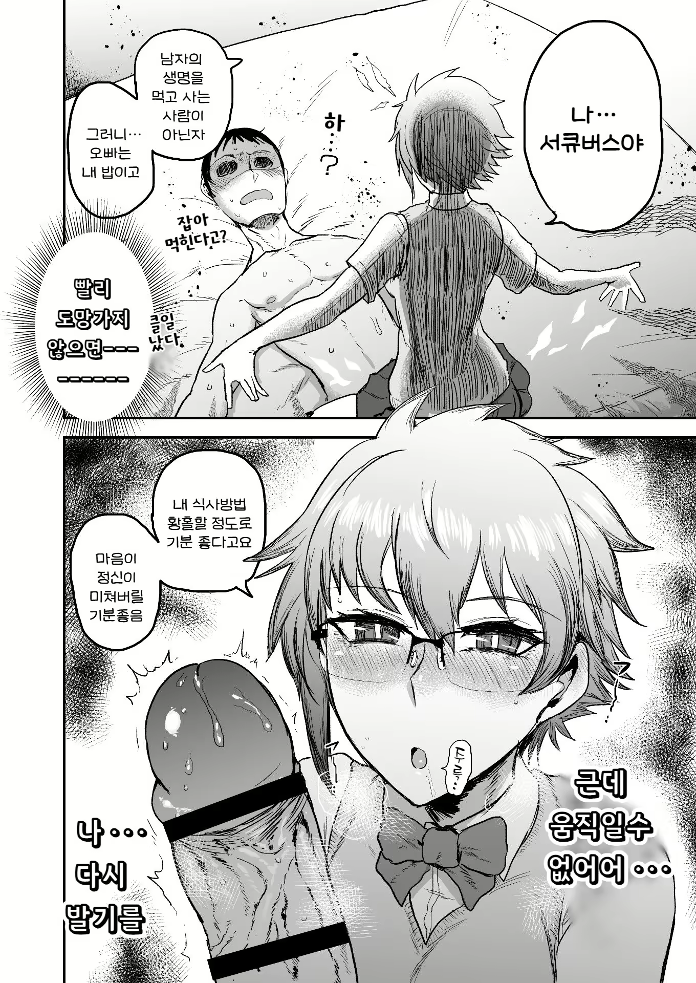 Content 2574684 - 11 페이지