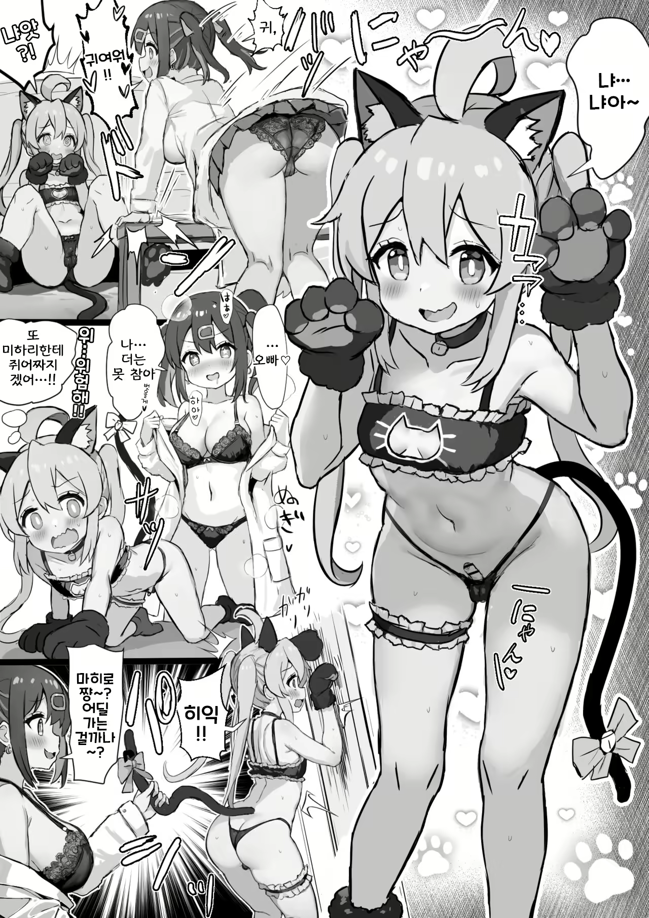 Content 2587635 - 1 페이지