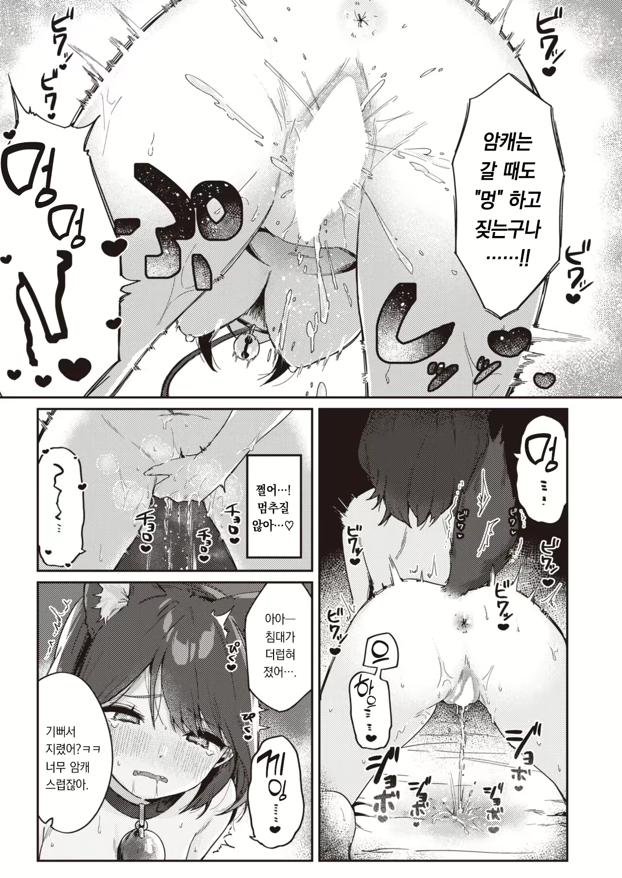 Content 2598413 - 16 페이지