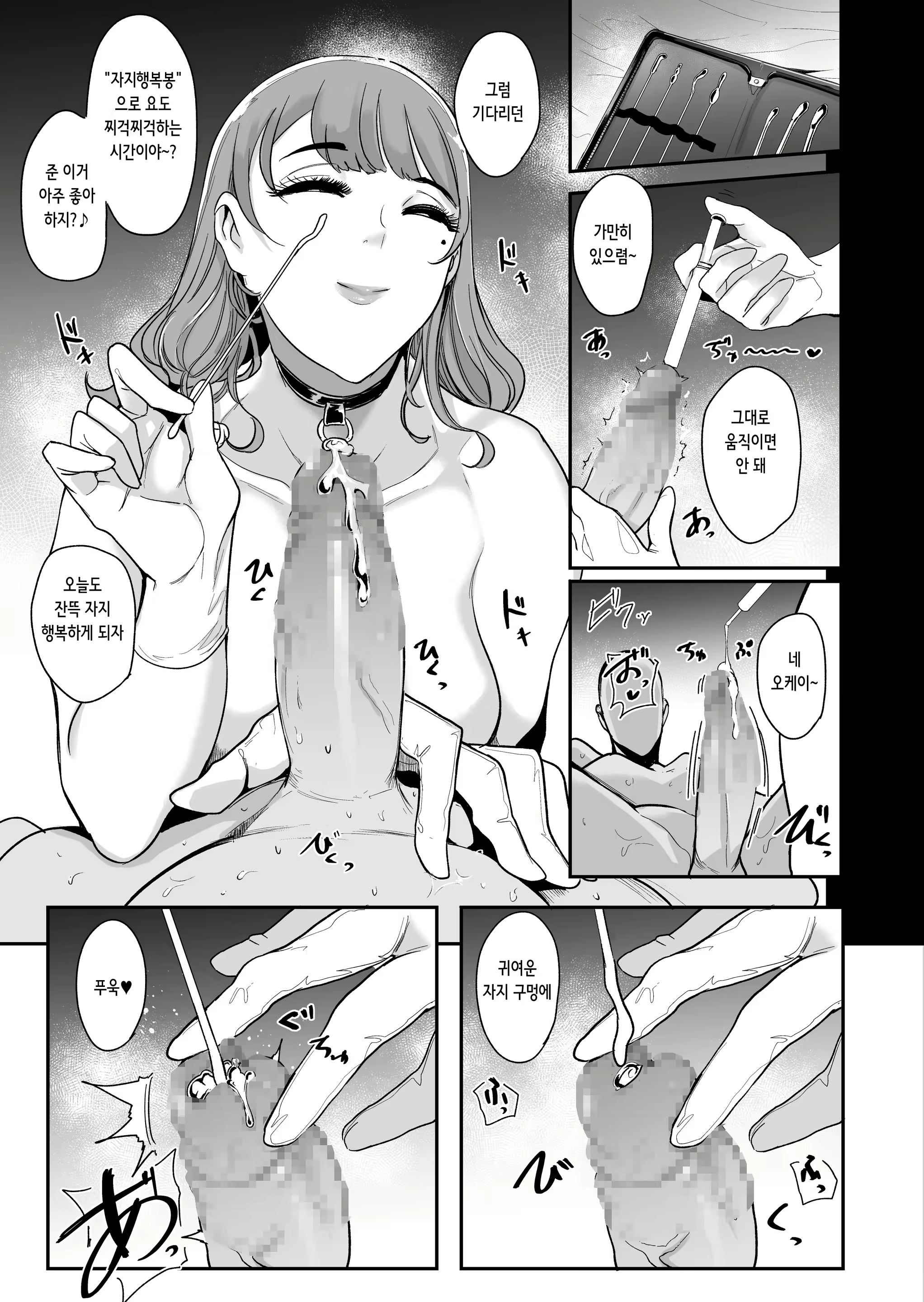 Content 2601823 - 31 페이지