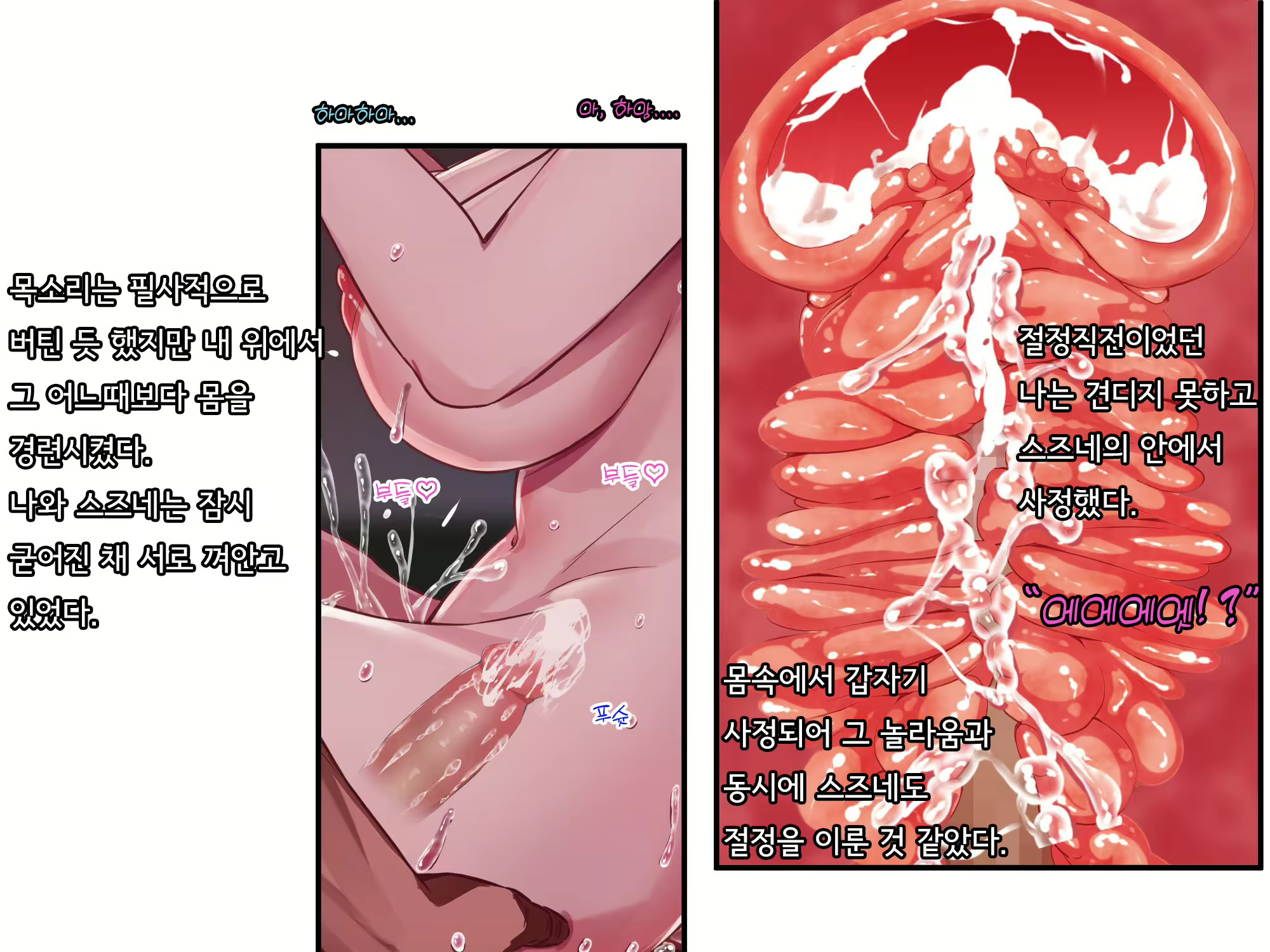 Content 2615775 - 427 페이지
