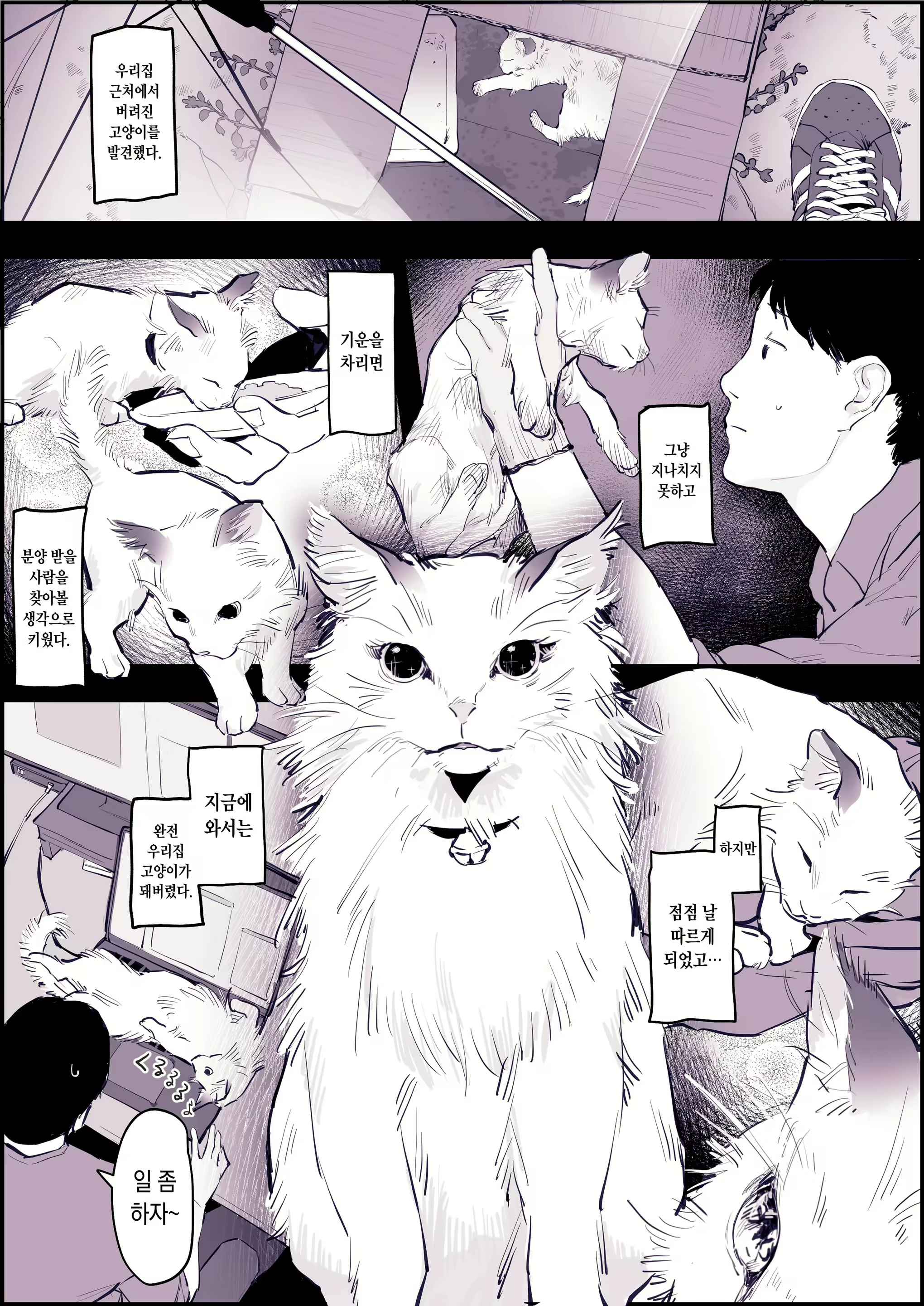 Content 2622633 - 2 페이지