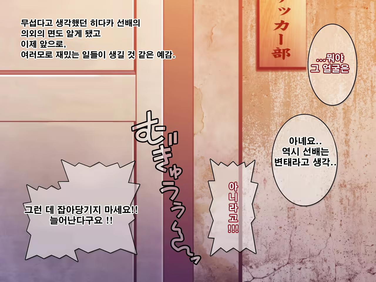 Content 2627786 - 247 페이지