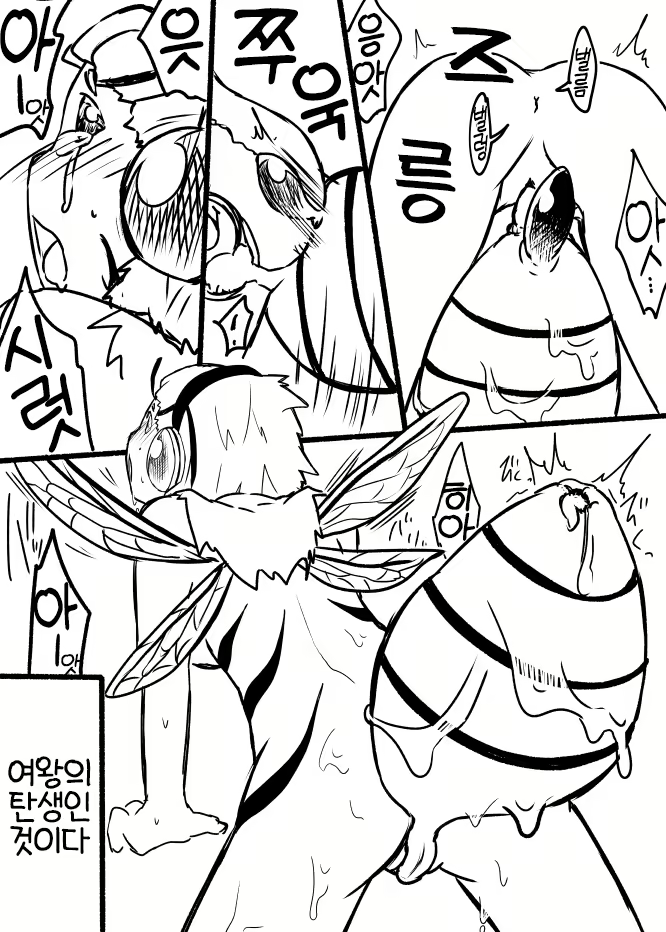 Content 2629936 - 10 페이지