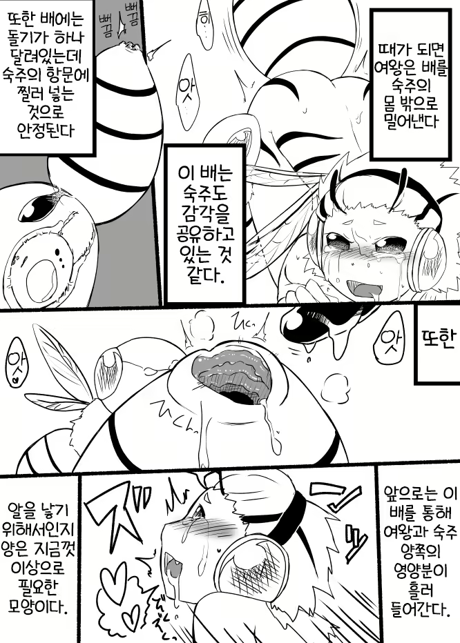 Content 2629936 - 11 페이지