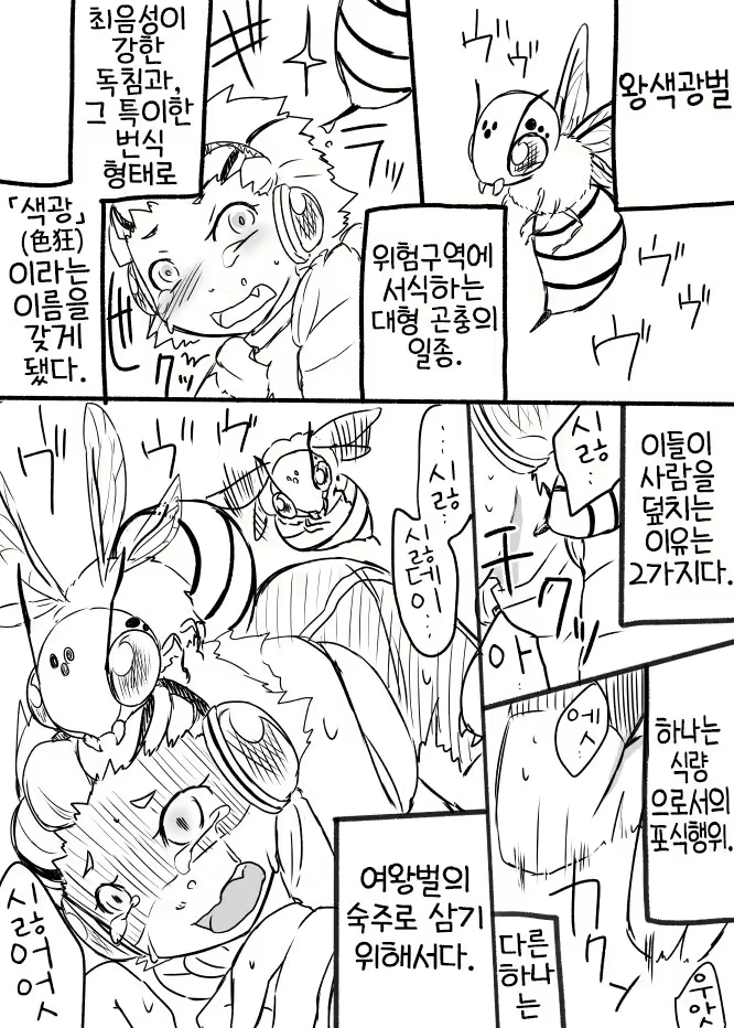 Content 2629936 - 4 페이지