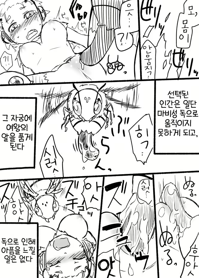 Content 2629936 - 5 페이지