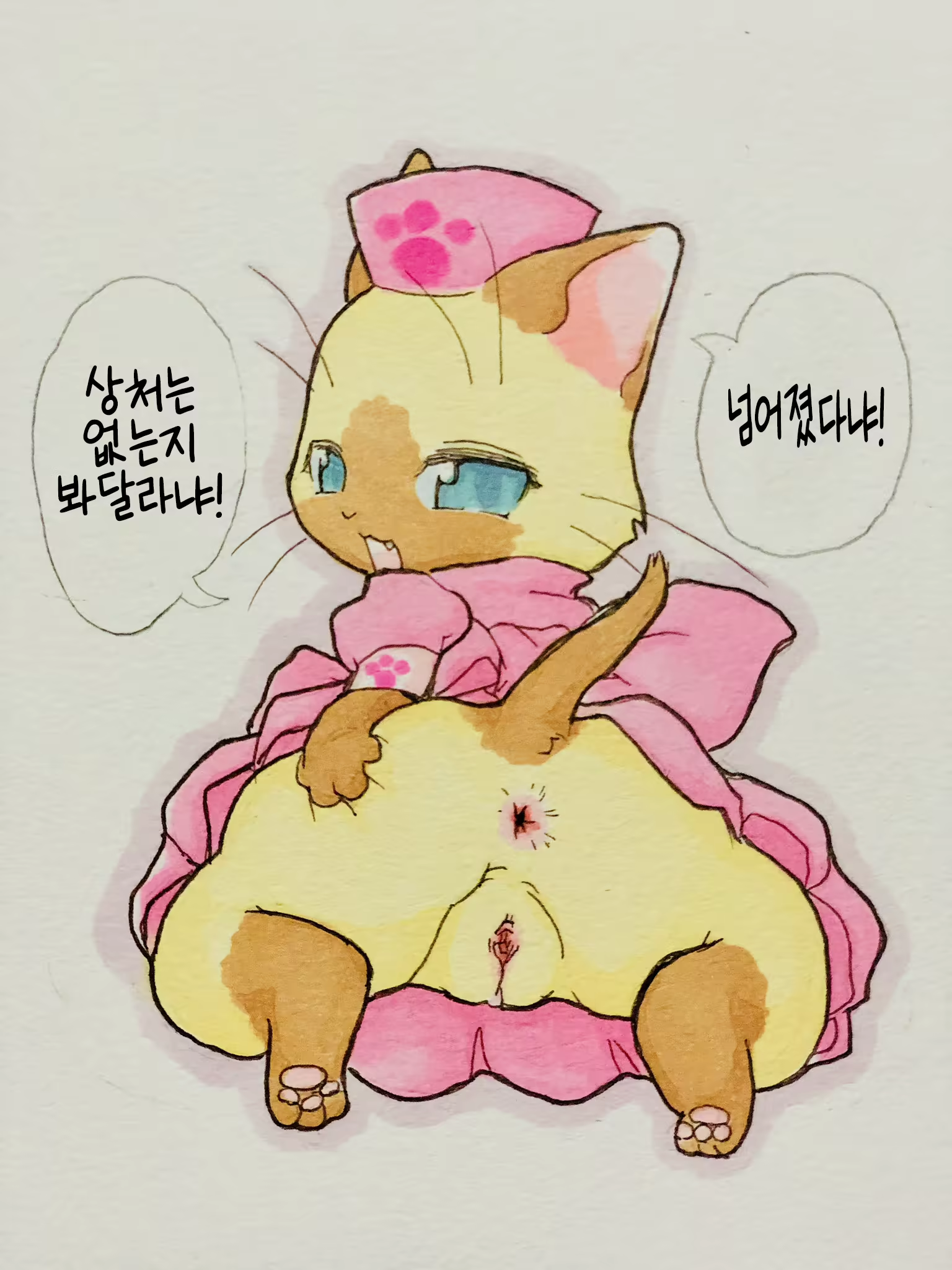 Content 2635916 - 15 페이지