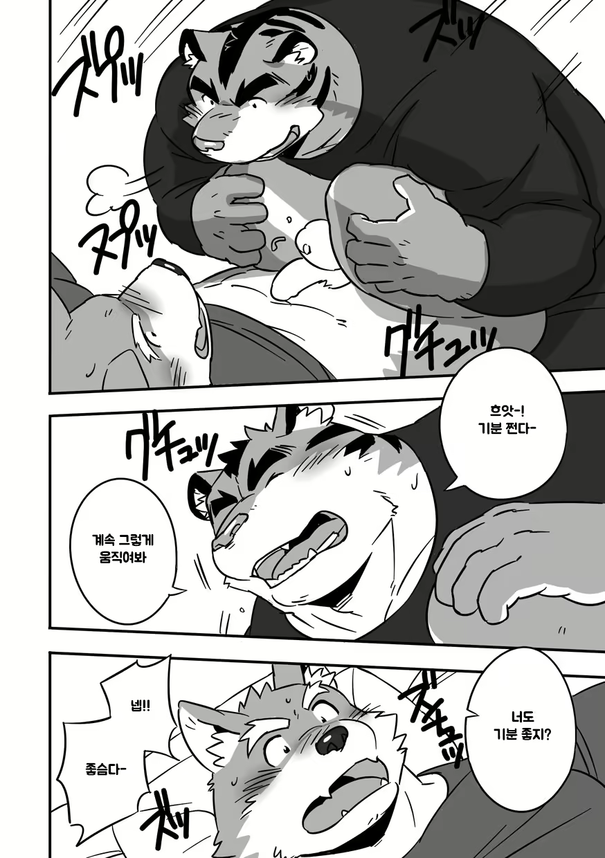 Content 2637439 - 11 페이지
