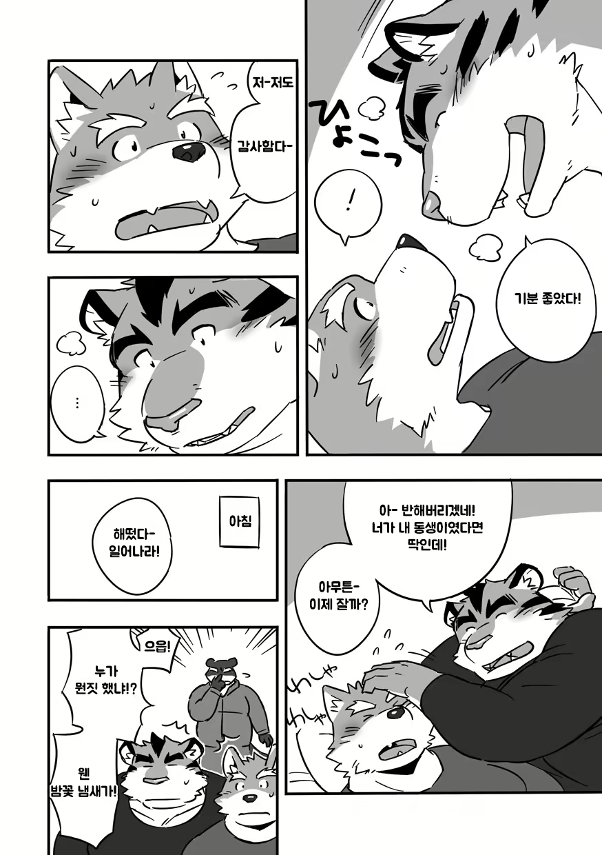 Content 2637439 - 13 페이지