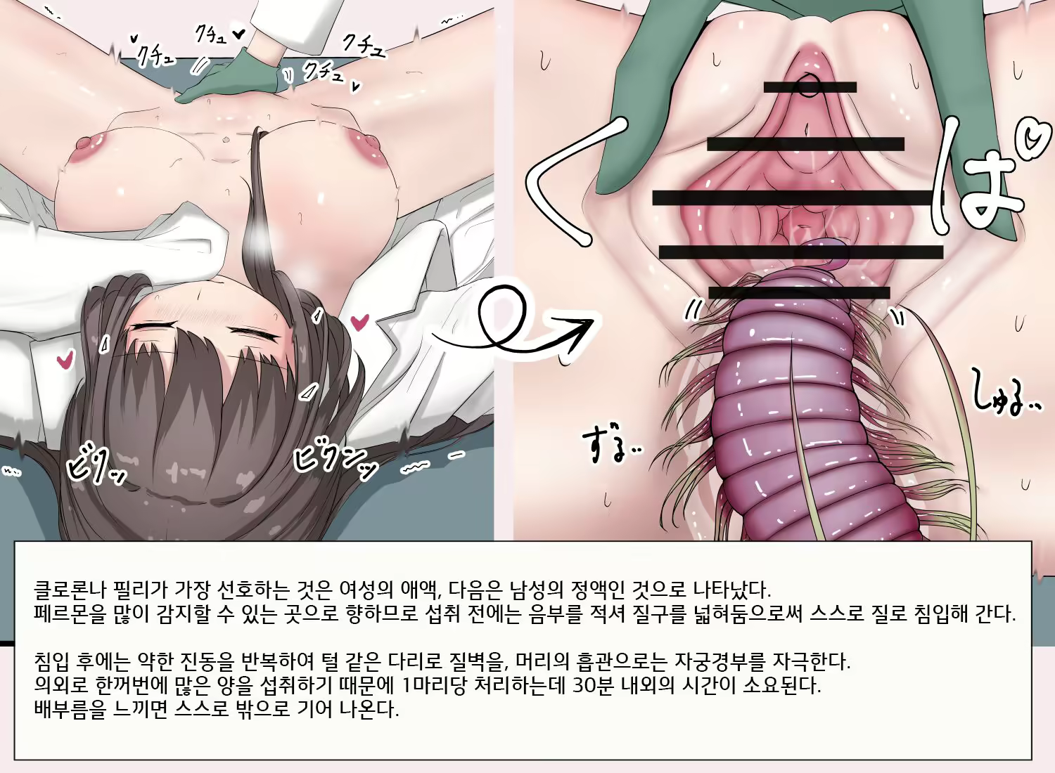 Content 2638589 - 2 페이지