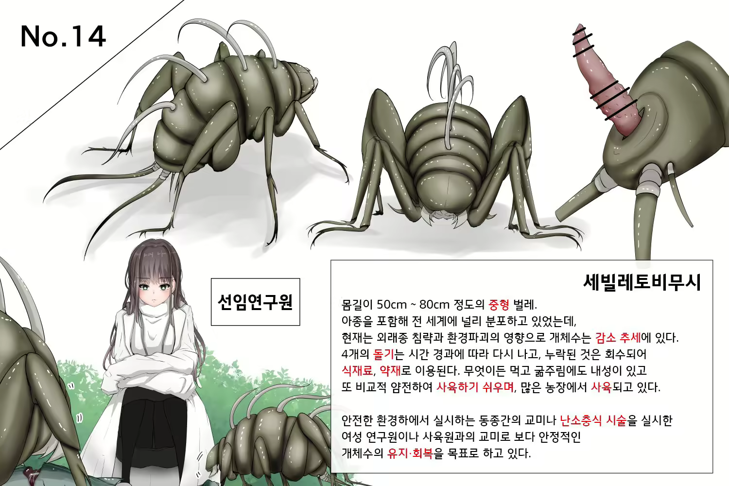 Content 2638590 - 1 페이지