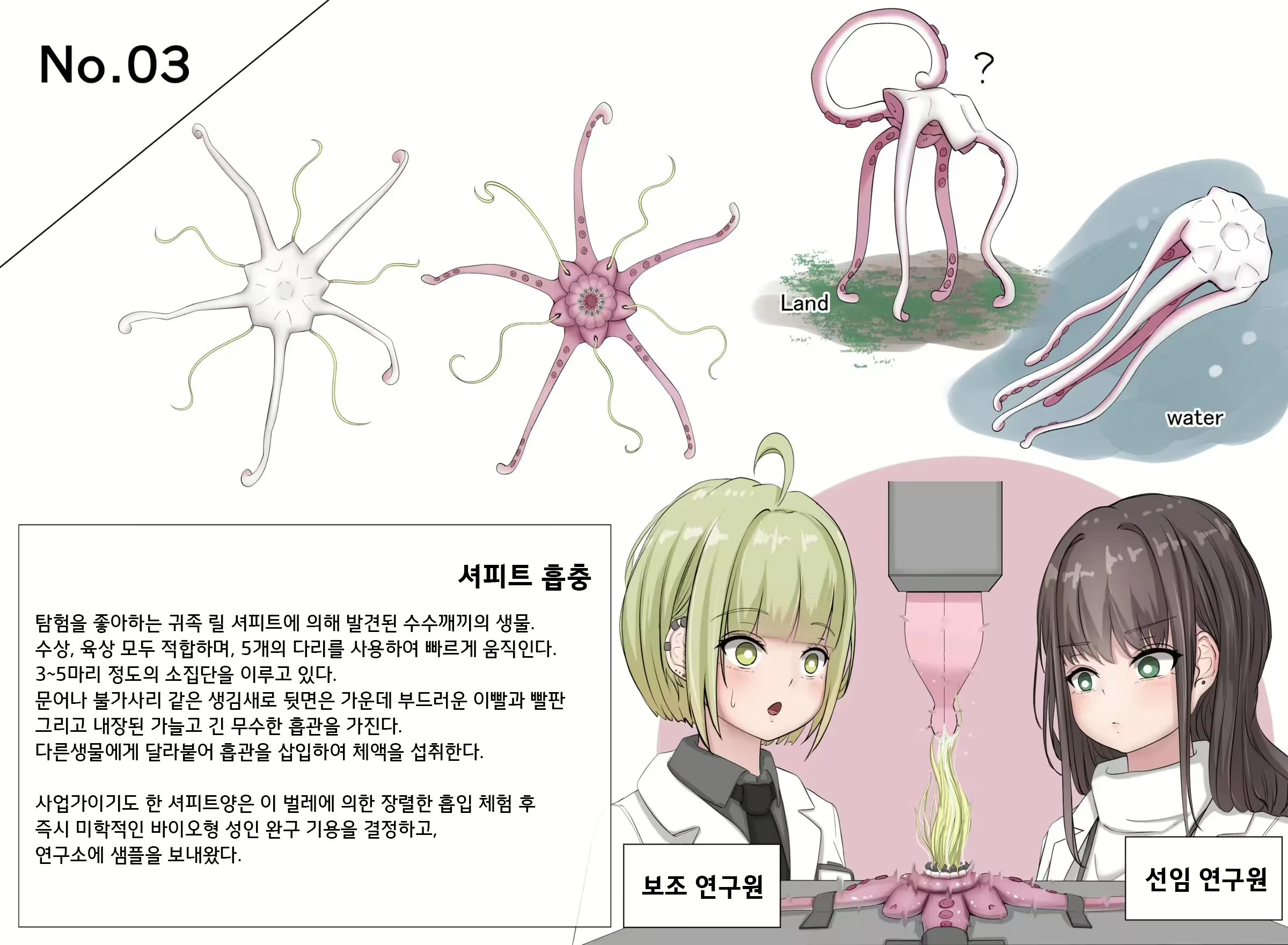 Content 2639222 - 11 페이지
