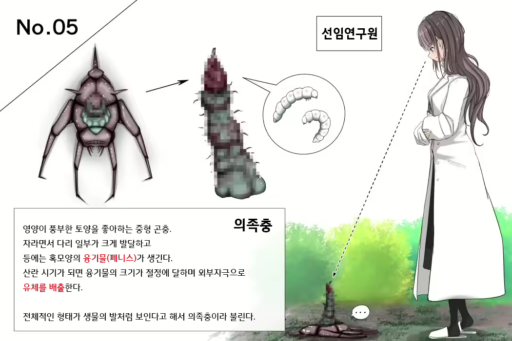 Content 2639222 - 21 페이지