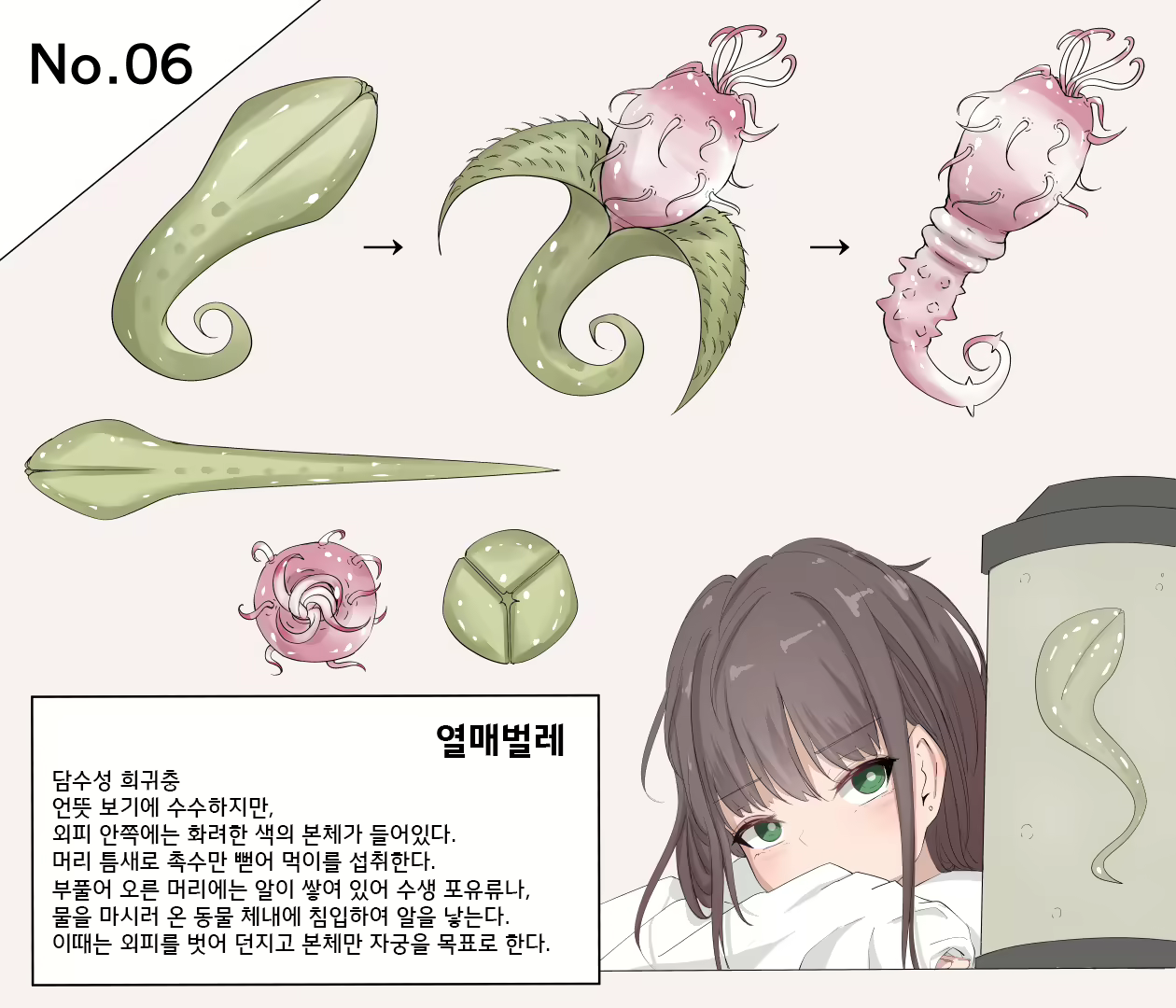 Content 2639222 - 27 페이지