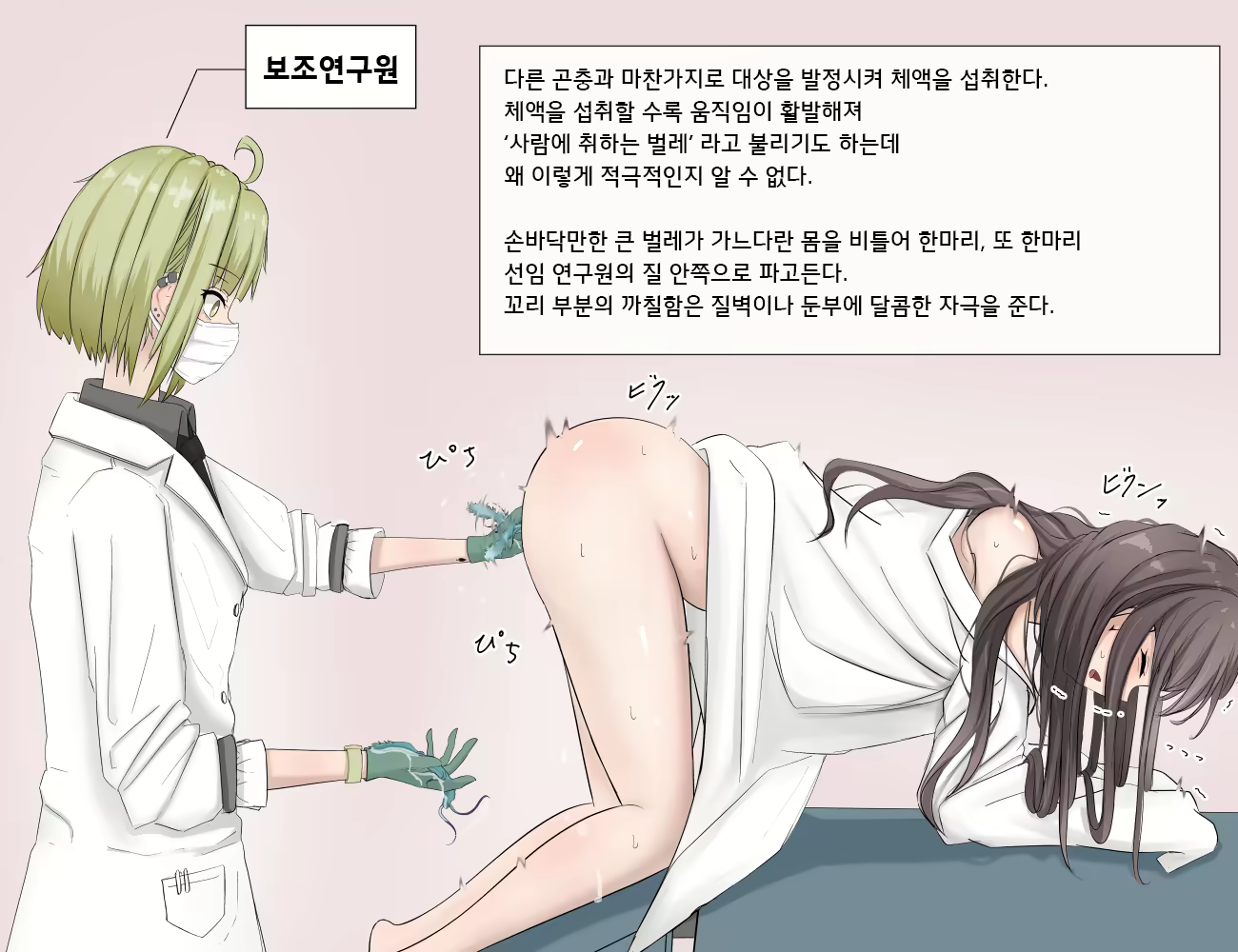 Content 2639222 - 42 페이지