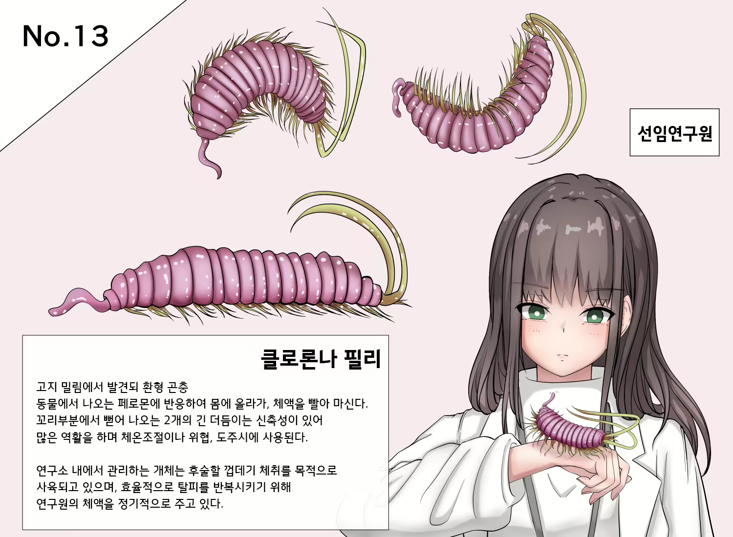 Content 2639222 - 44 페이지