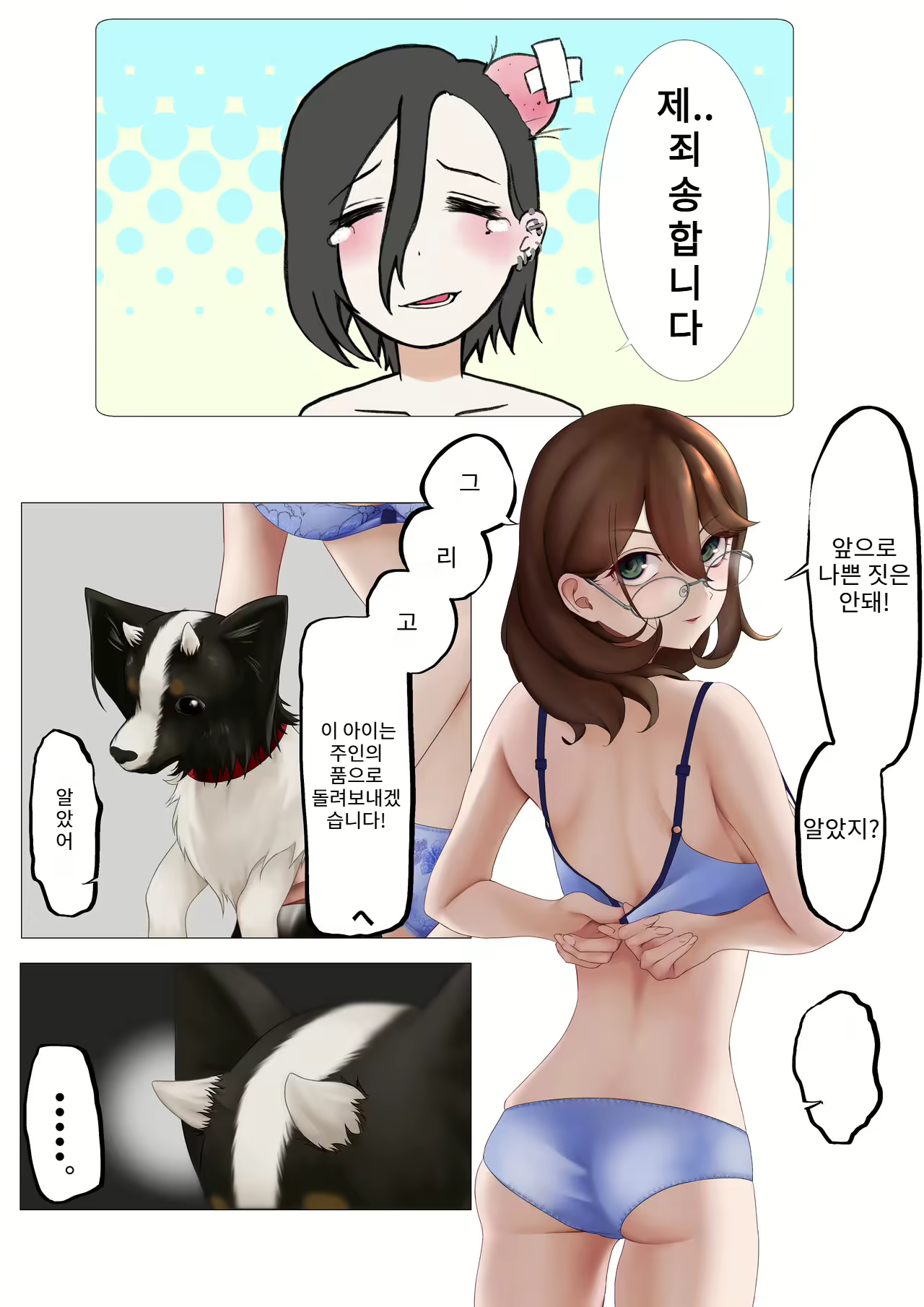 Content 2639639 - 43 페이지