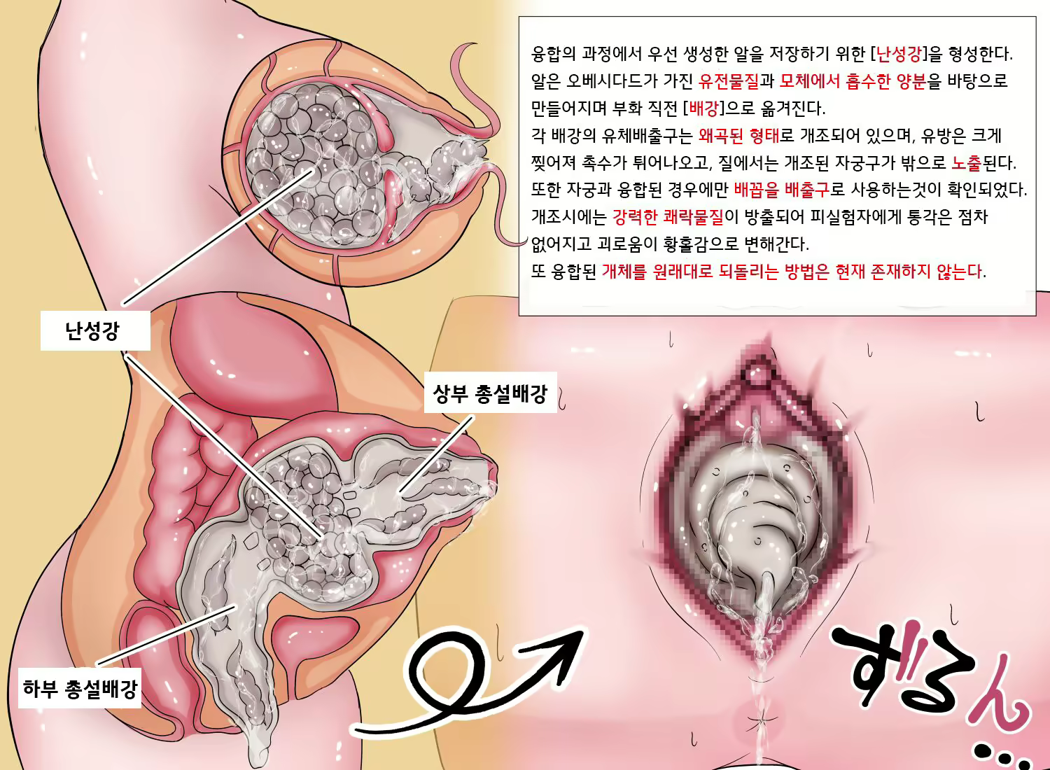 Content 2639832 - 15 페이지