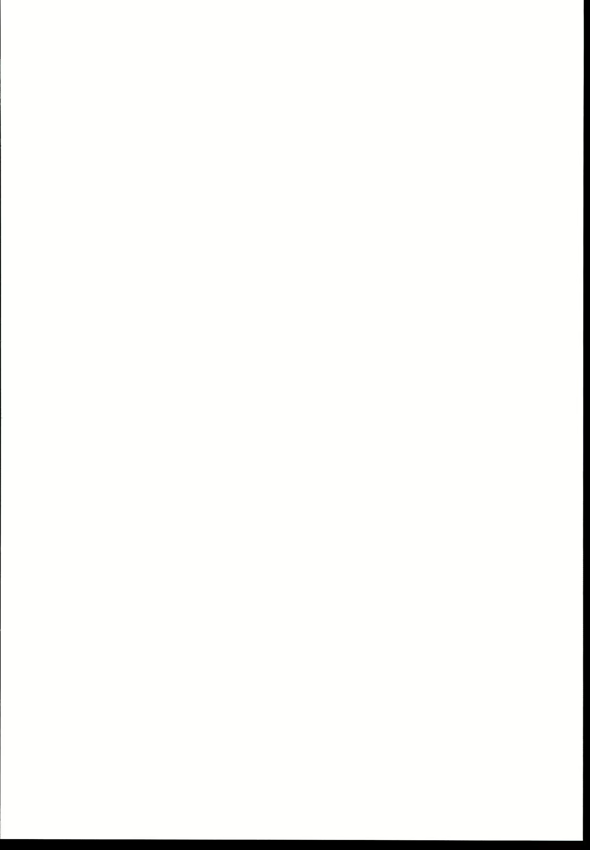 Content 2642851 - 2 페이지