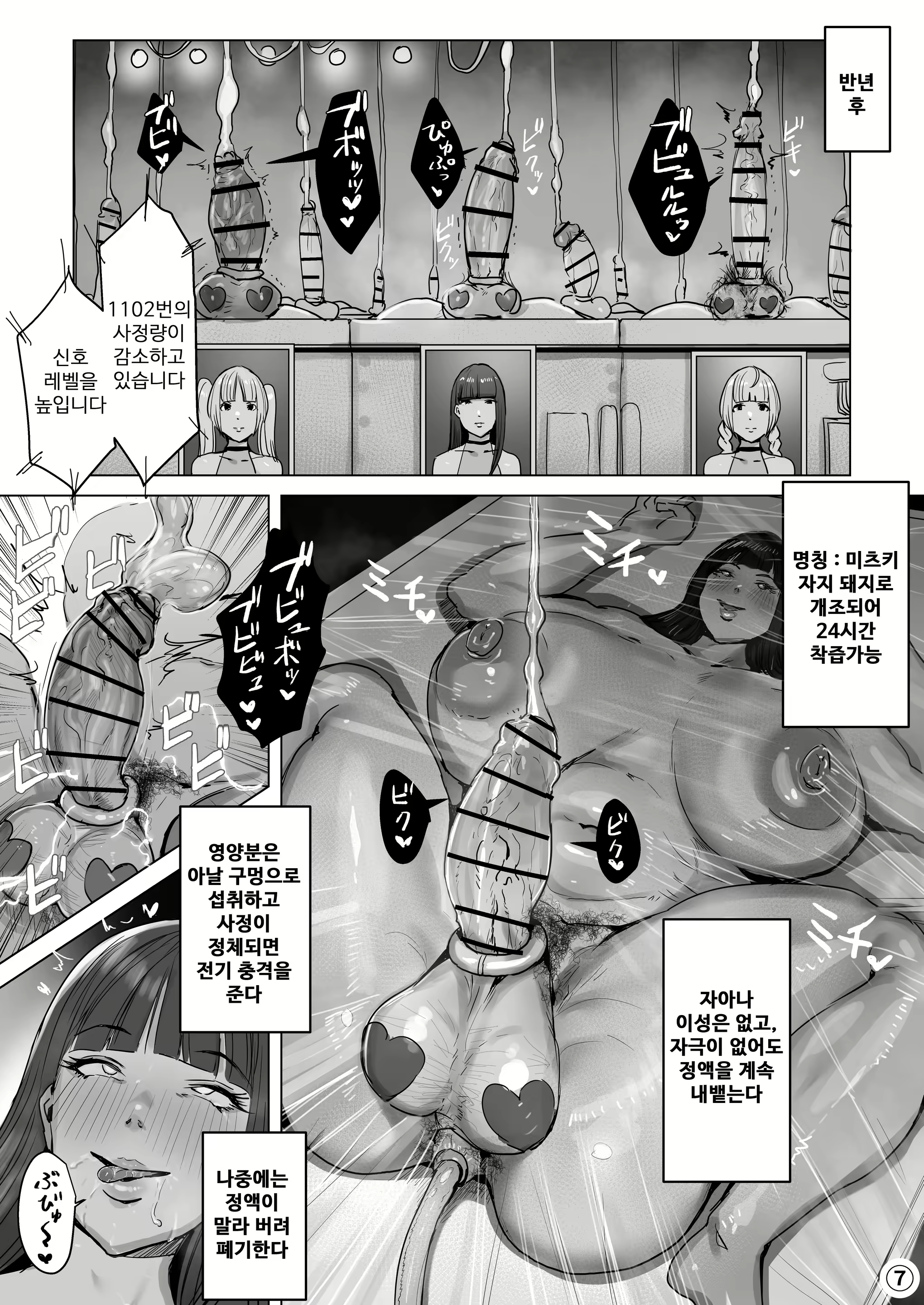 Content 2642889 - 70 페이지