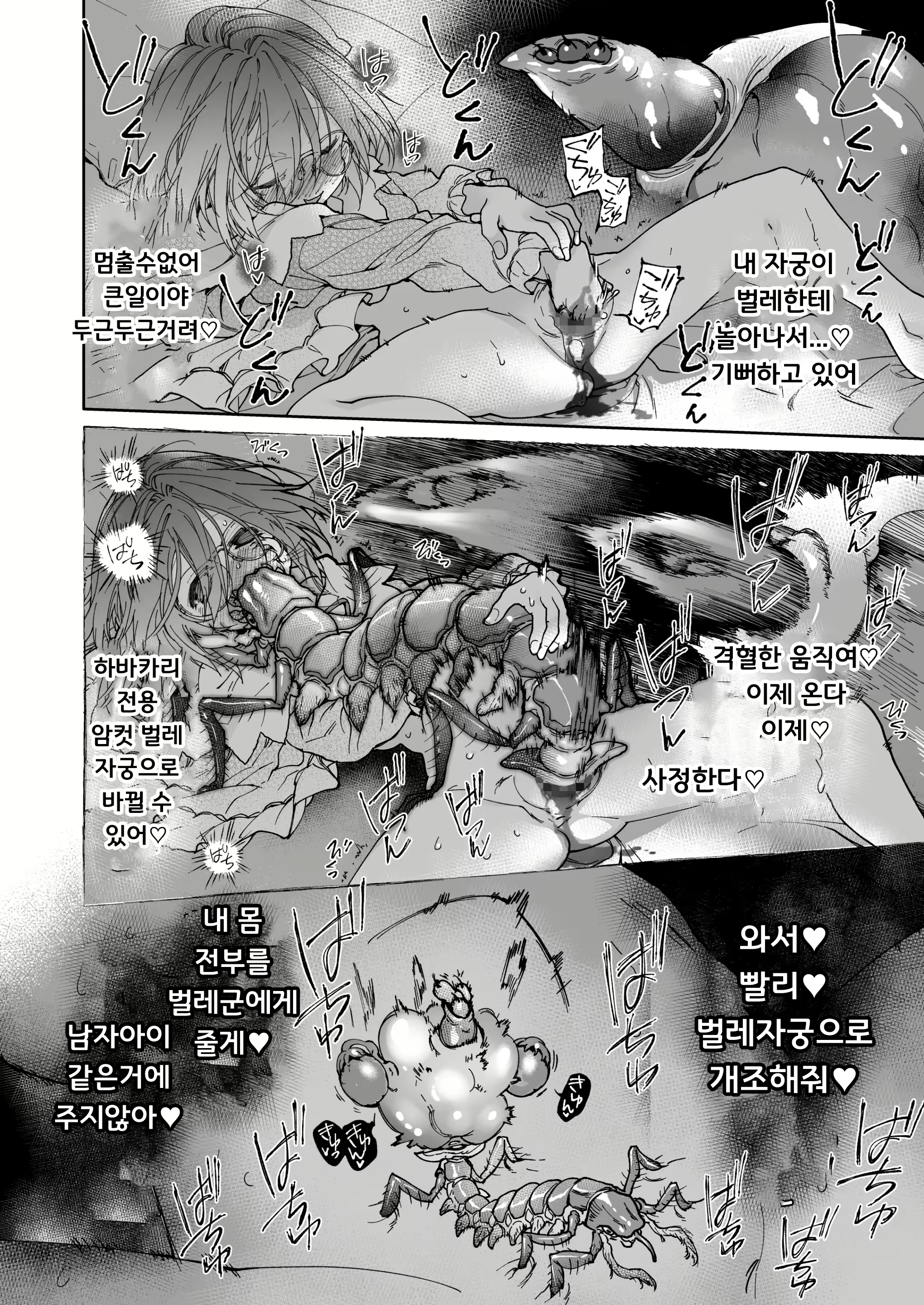 Content 2642973 - 47 페이지
