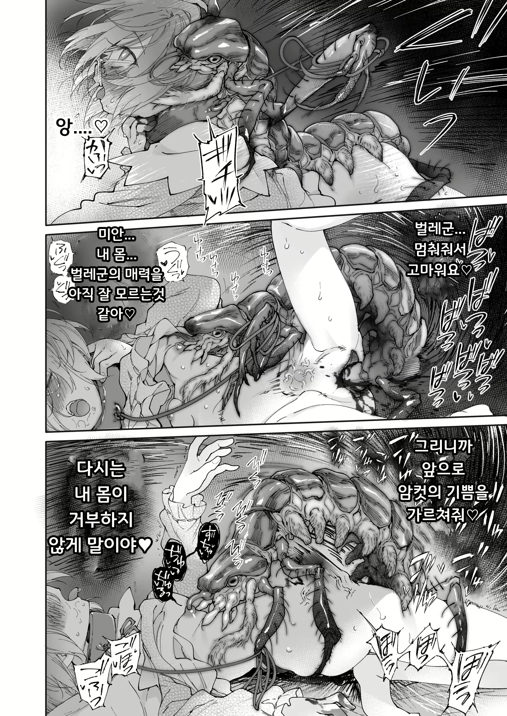Content 2642973 - 51 페이지