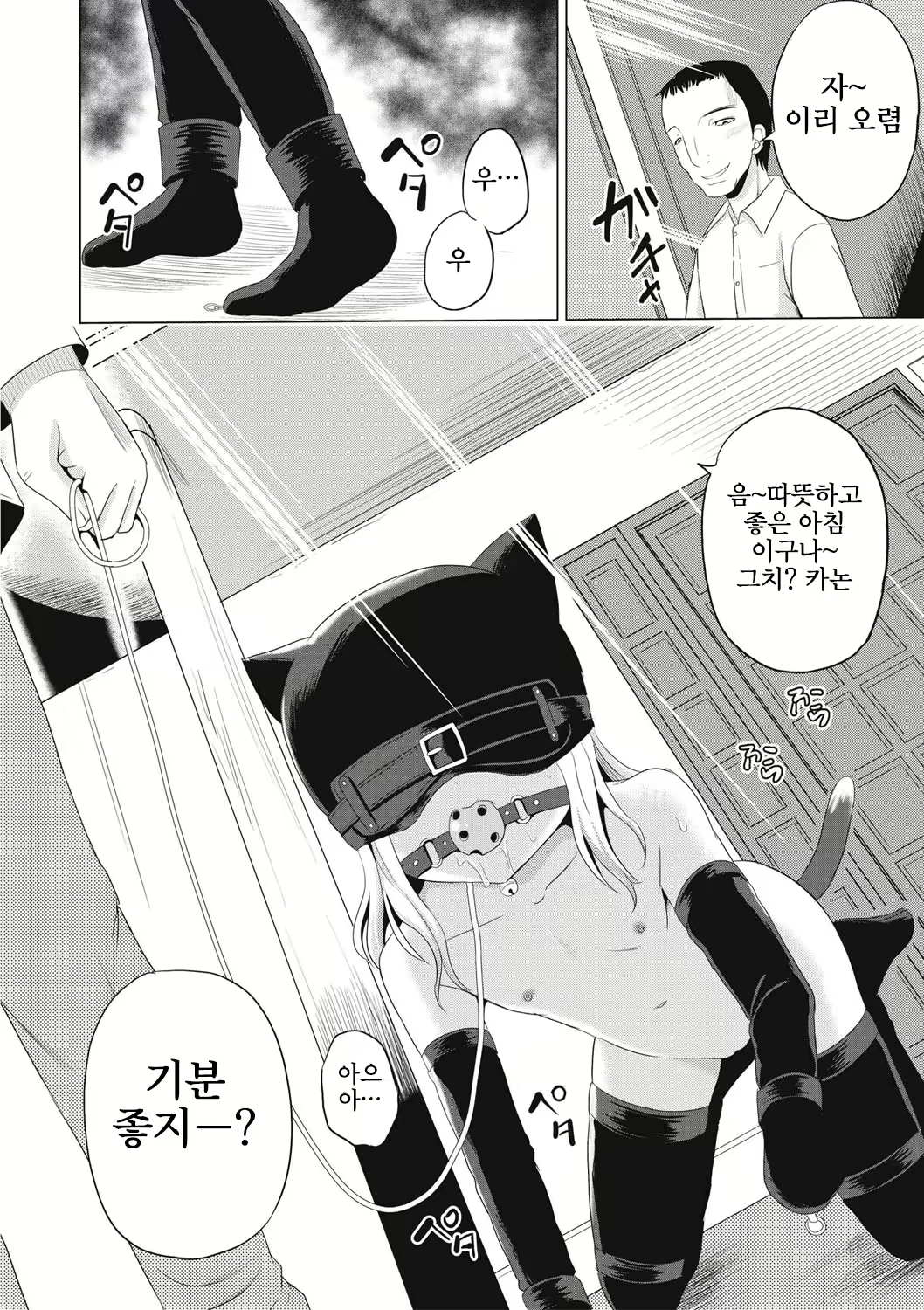 Content 2646455 - 85 페이지