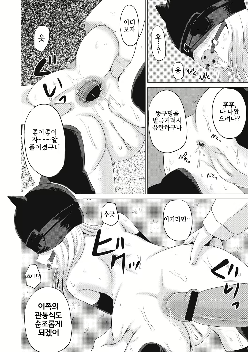 Content 2646455 - 91 페이지