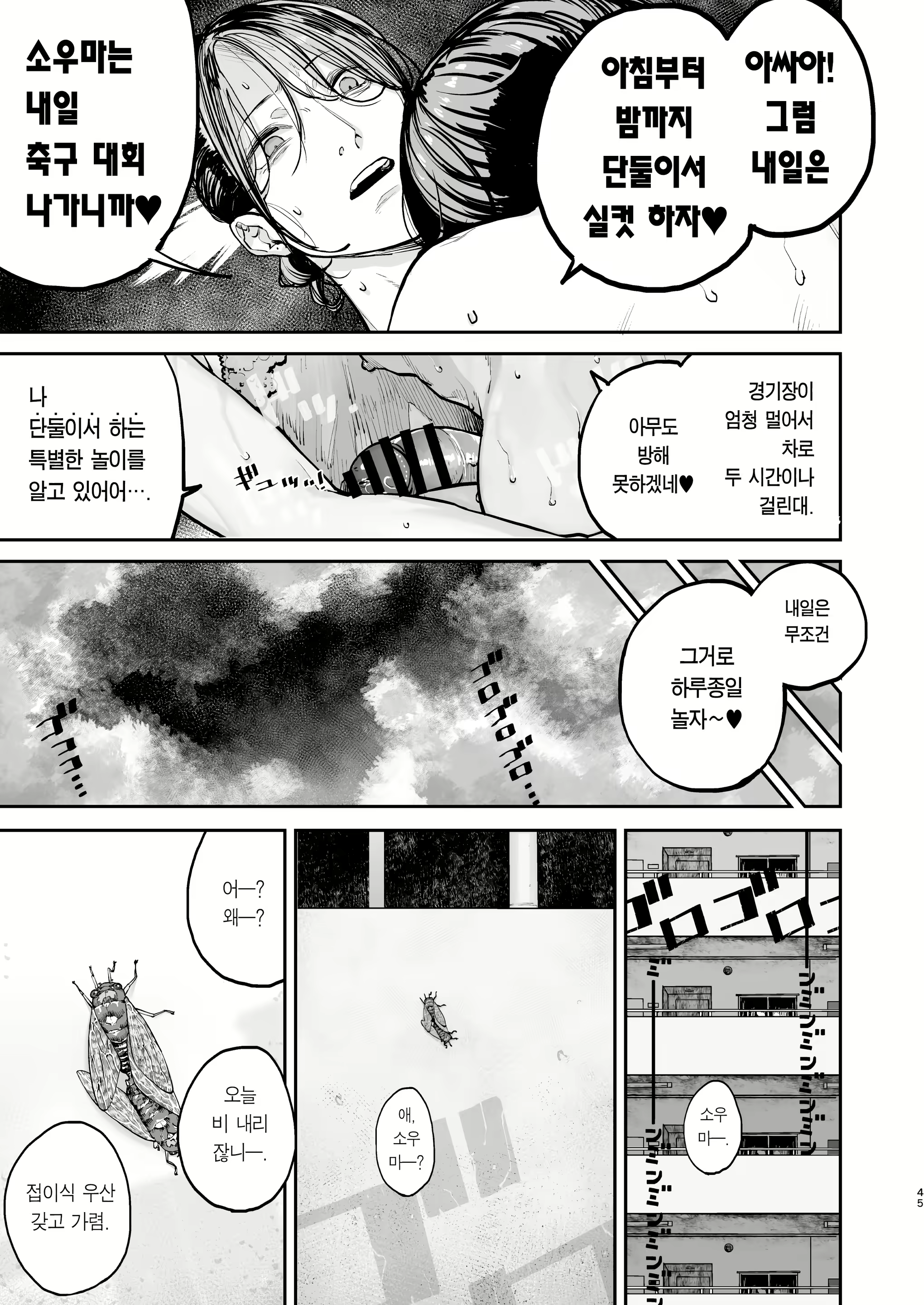 Content 2648683 - 44 페이지