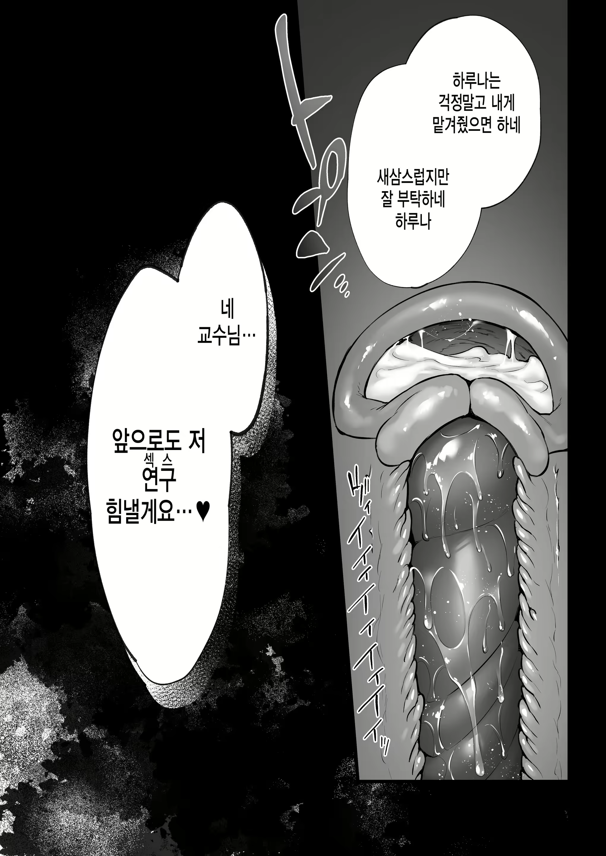 Content 2658223 - 54 페이지