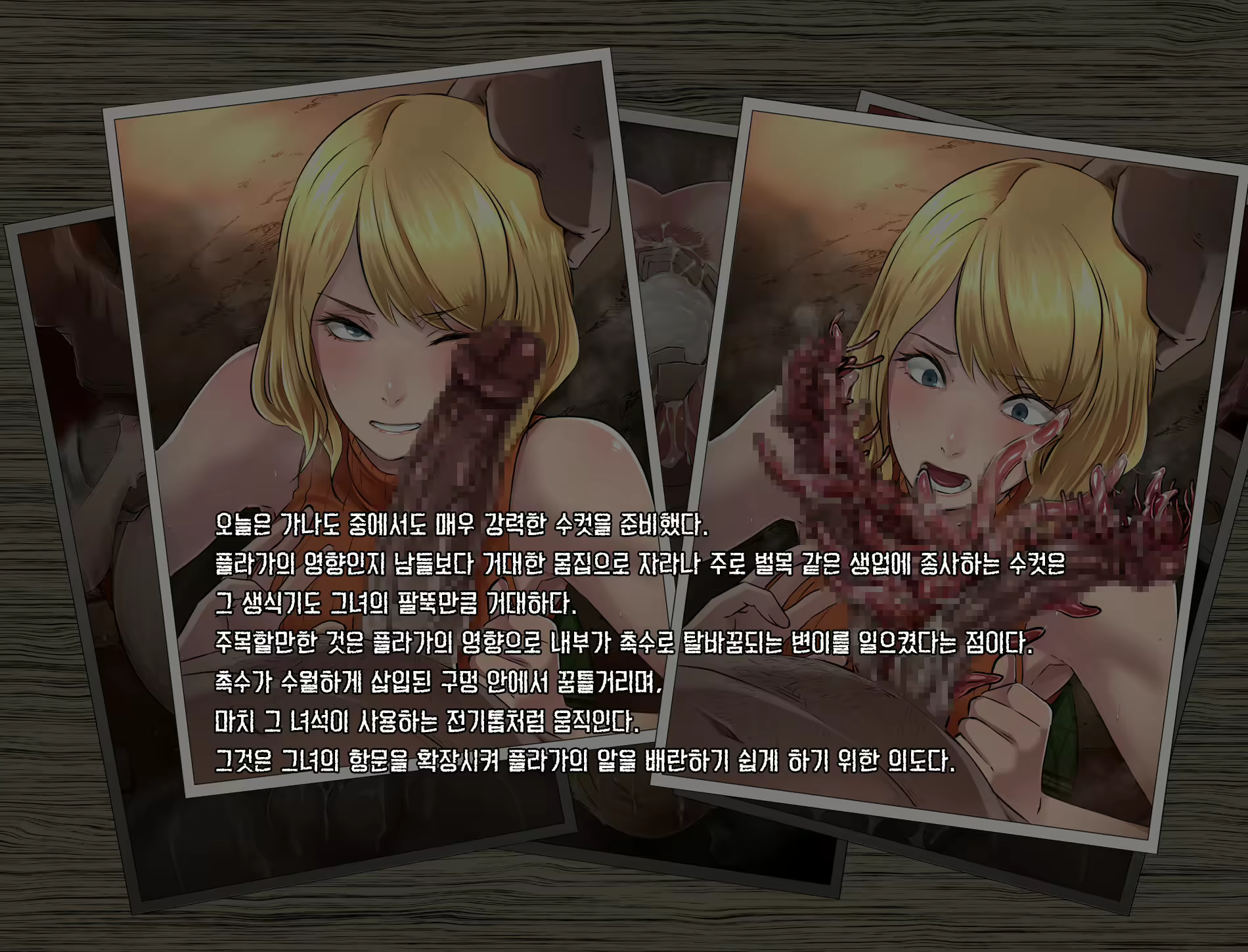 Content 2662798 - 3 페이지