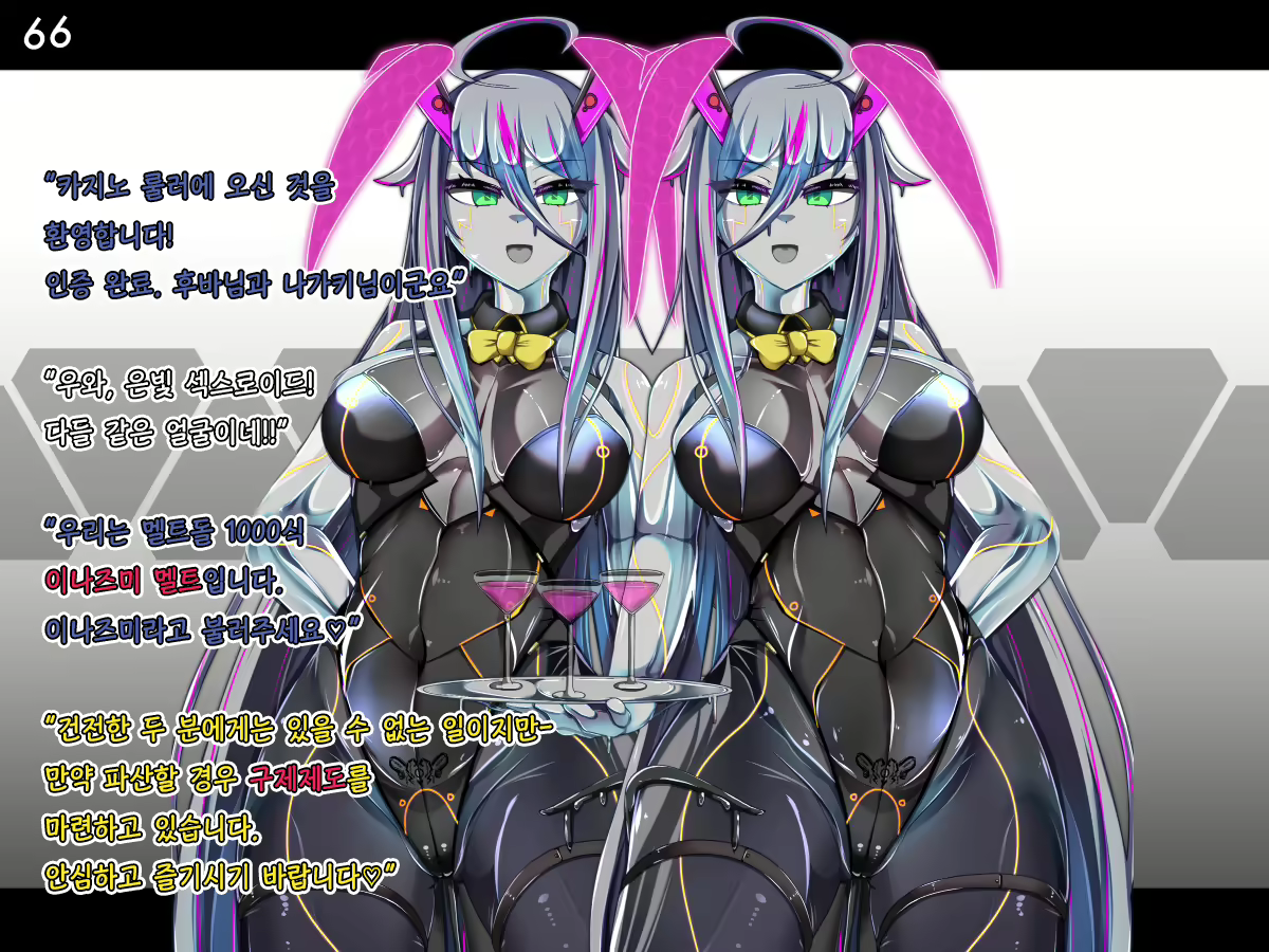 Content 2662971 - 67 페이지